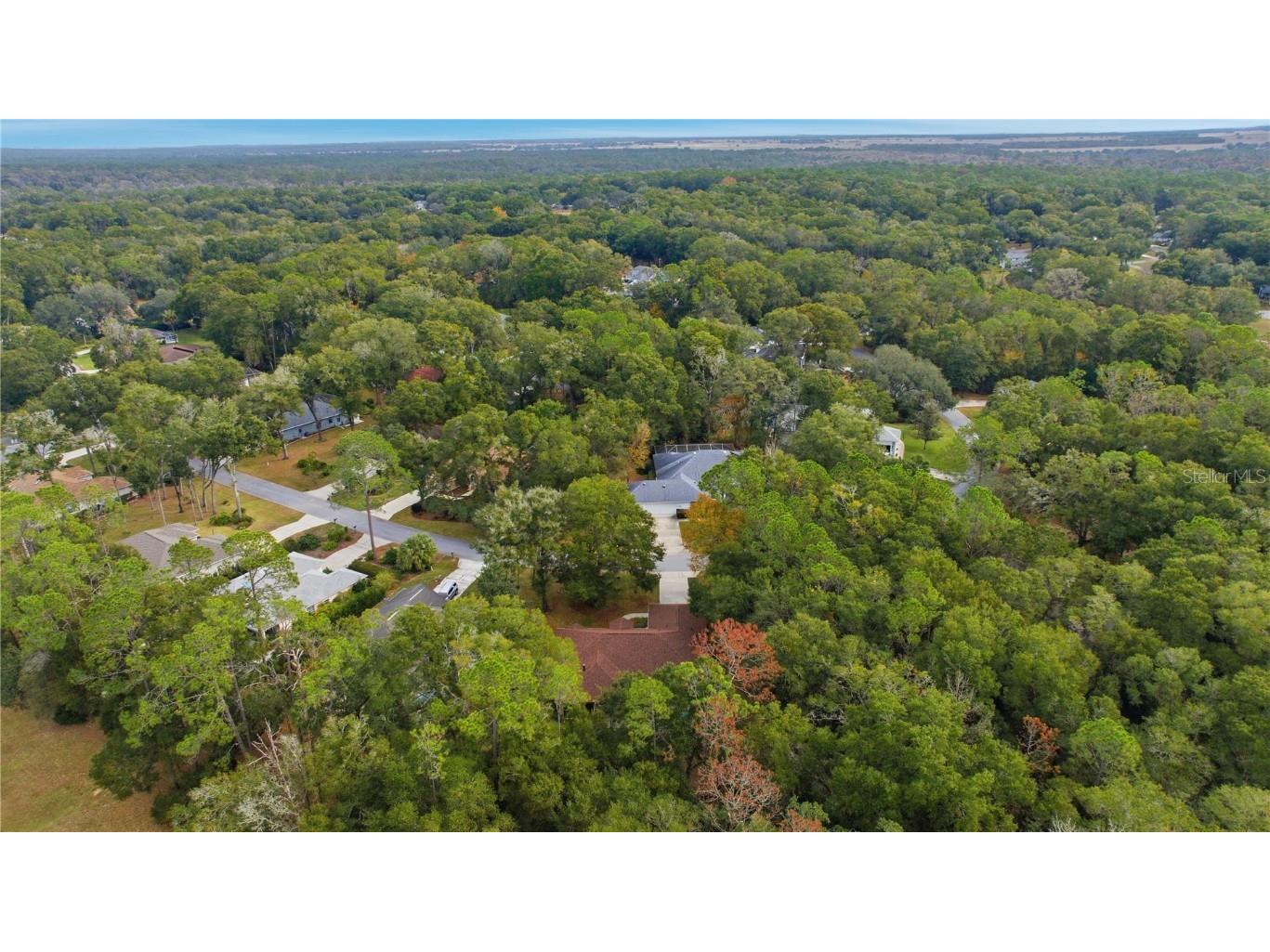 9221 SW 193rd Circle Dunnellon FL 34432 - RAINBOW RIVER OM709061 image11