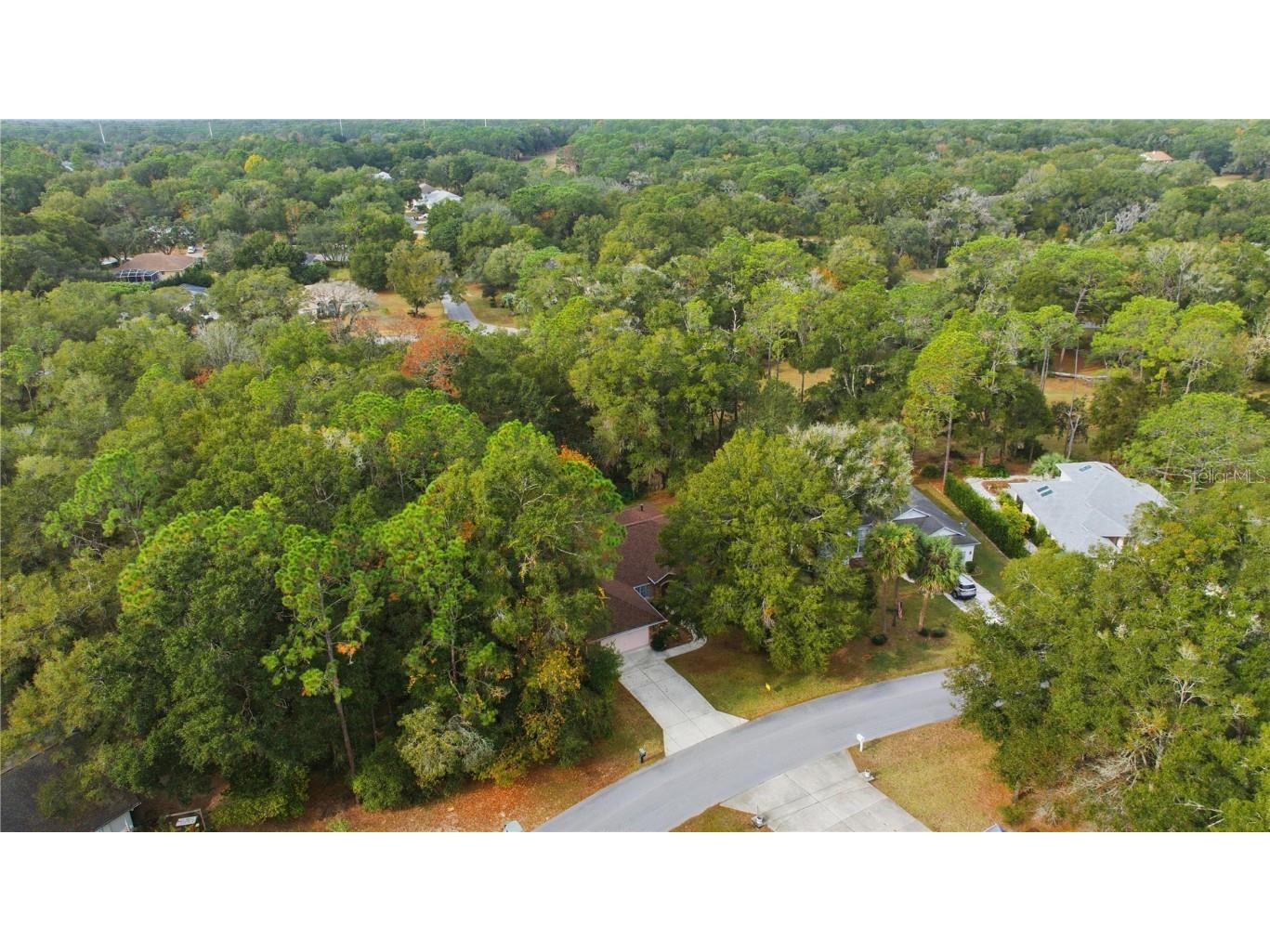 9221 SW 193rd Circle Dunnellon FL 34432 - RAINBOW RIVER OM709061 image8