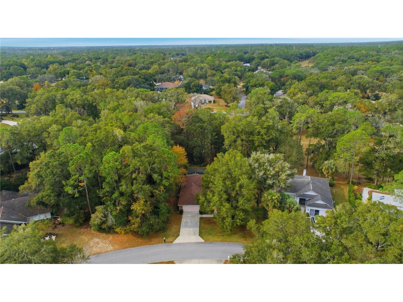 9221 SW 193rd Circle Dunnellon FL 34432 - RAINBOW RIVER OM709061 image9