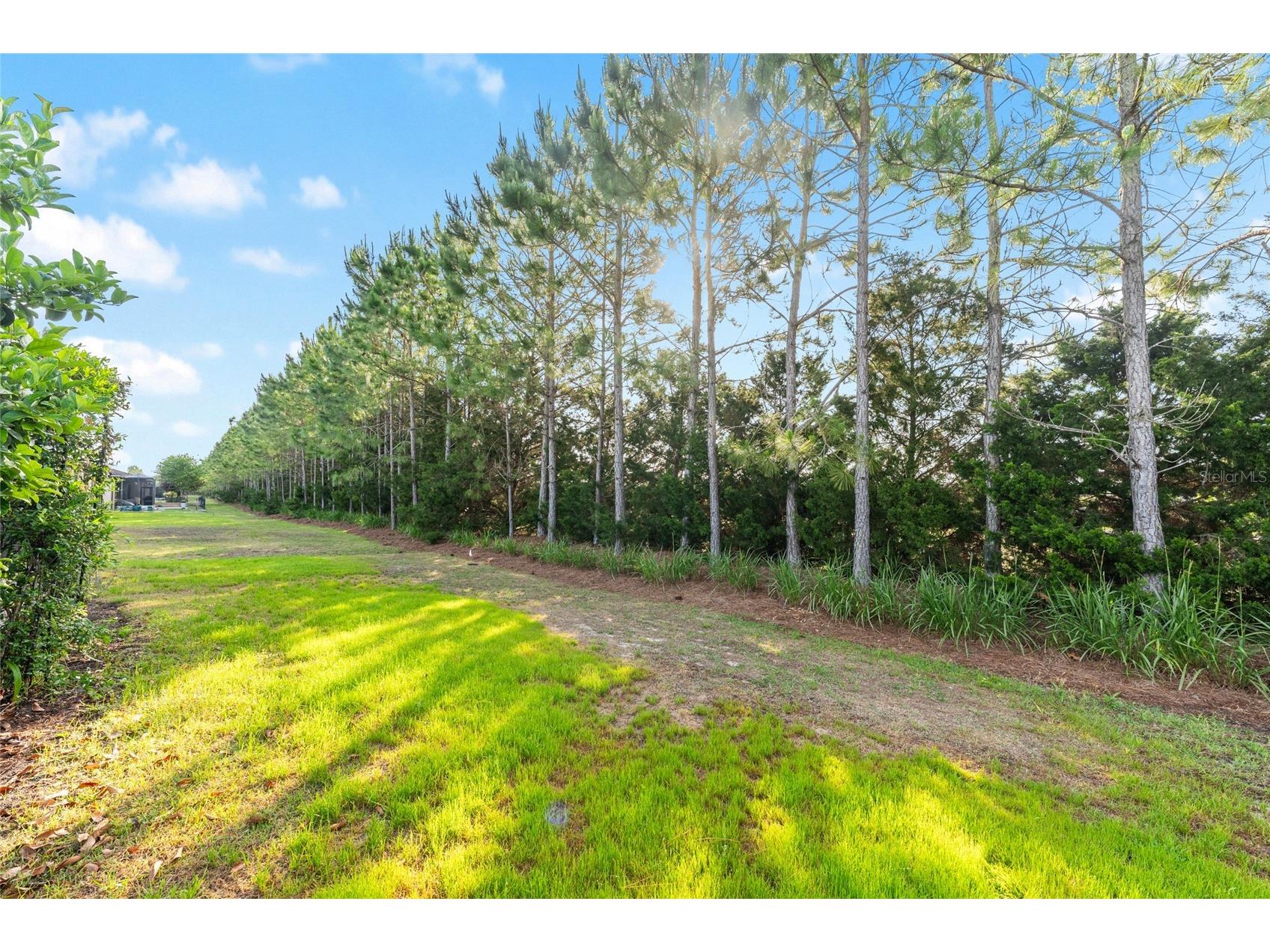 9221 SW 70th Loop Ocala FL 34481 OM723856 image40