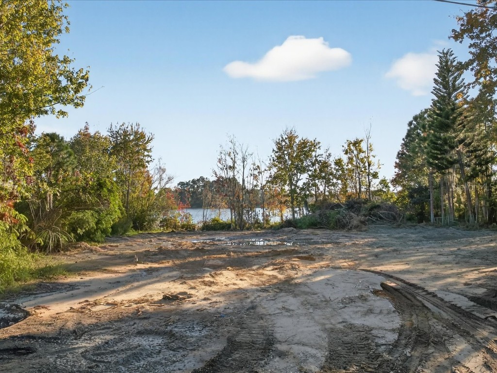 9222 Charles E Limpus Road Orlando FL 32836 - BUTLER CHAIN OF LAKES O6367232 image17