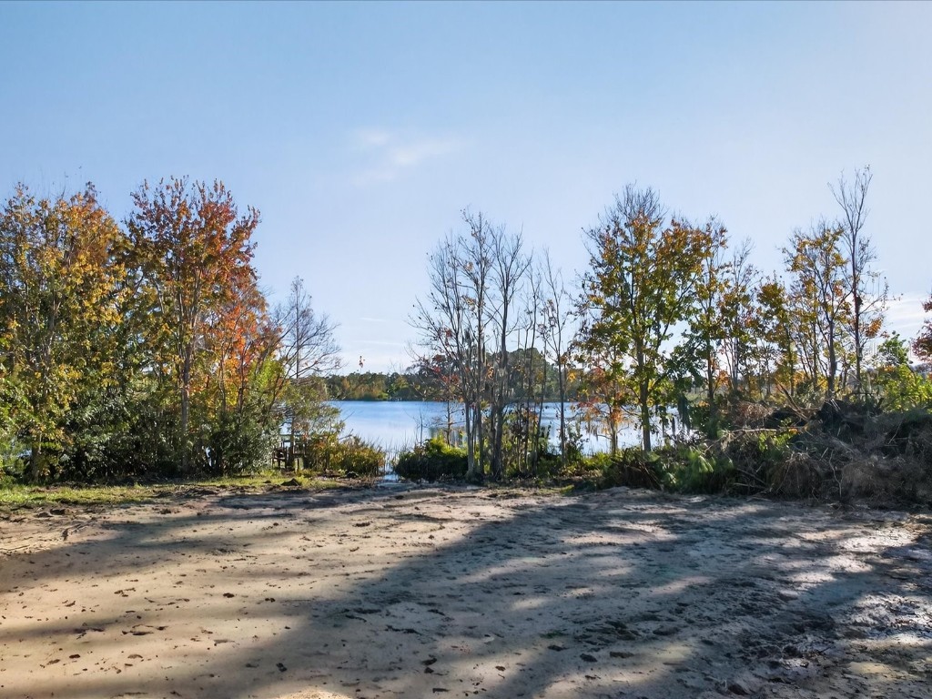 9222 Charles E Limpus Road Orlando FL 32836 - BUTLER CHAIN OF LAKES O6367232 image18