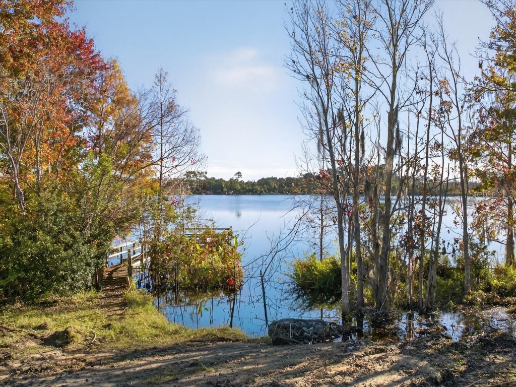 9222 Charles E Limpus Road Orlando FL 32836 - BUTLER CHAIN OF LAKES O6367232 image19