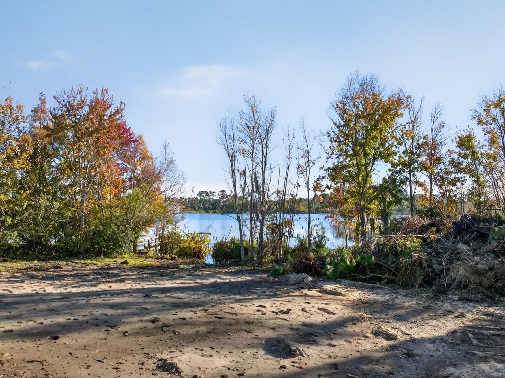 9222 Charles E Limpus Road Orlando FL 32836 - BUTLER CHAIN OF LAKES O6367232 image24