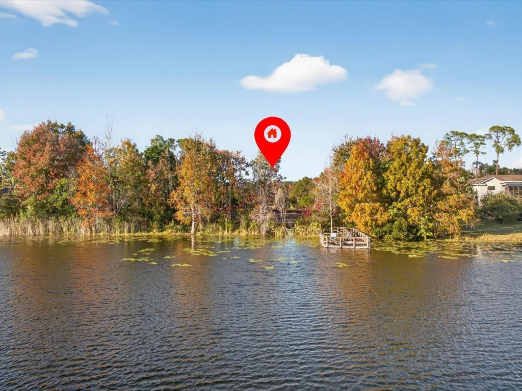 9222 Charles E Limpus Road Orlando FL 32836 - BUTLER CHAIN OF LAKES O6367232 image7
