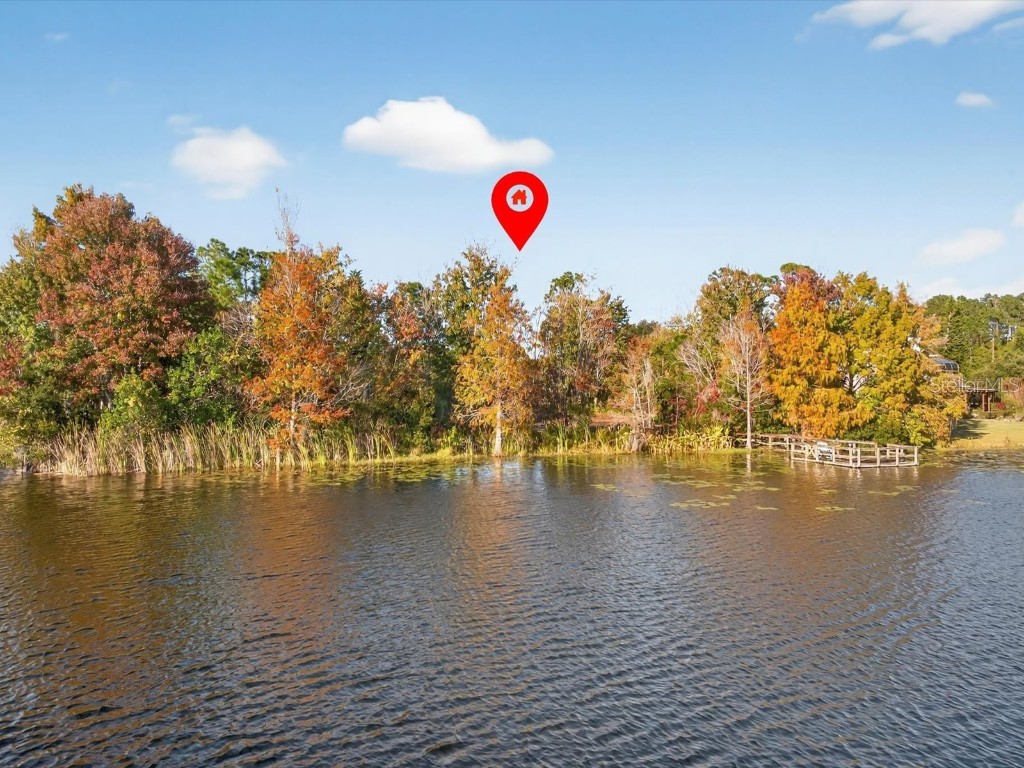 9222 Charles E Limpus Road Orlando FL 32836 - BUTLER CHAIN OF LAKES O6367232 image8