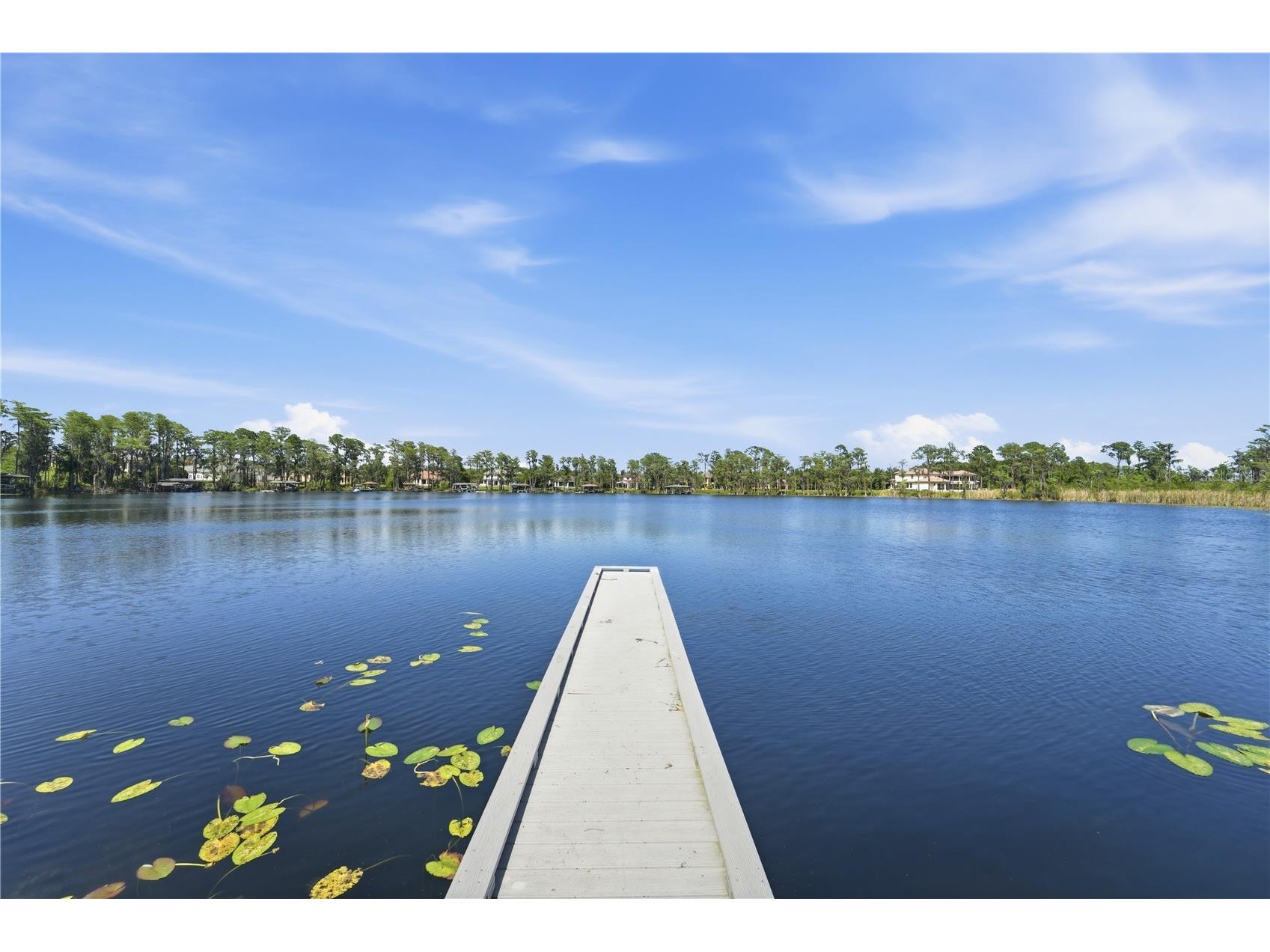 9222 Tibet Pointe Circle Windermere FL 34786 O6405278 image96