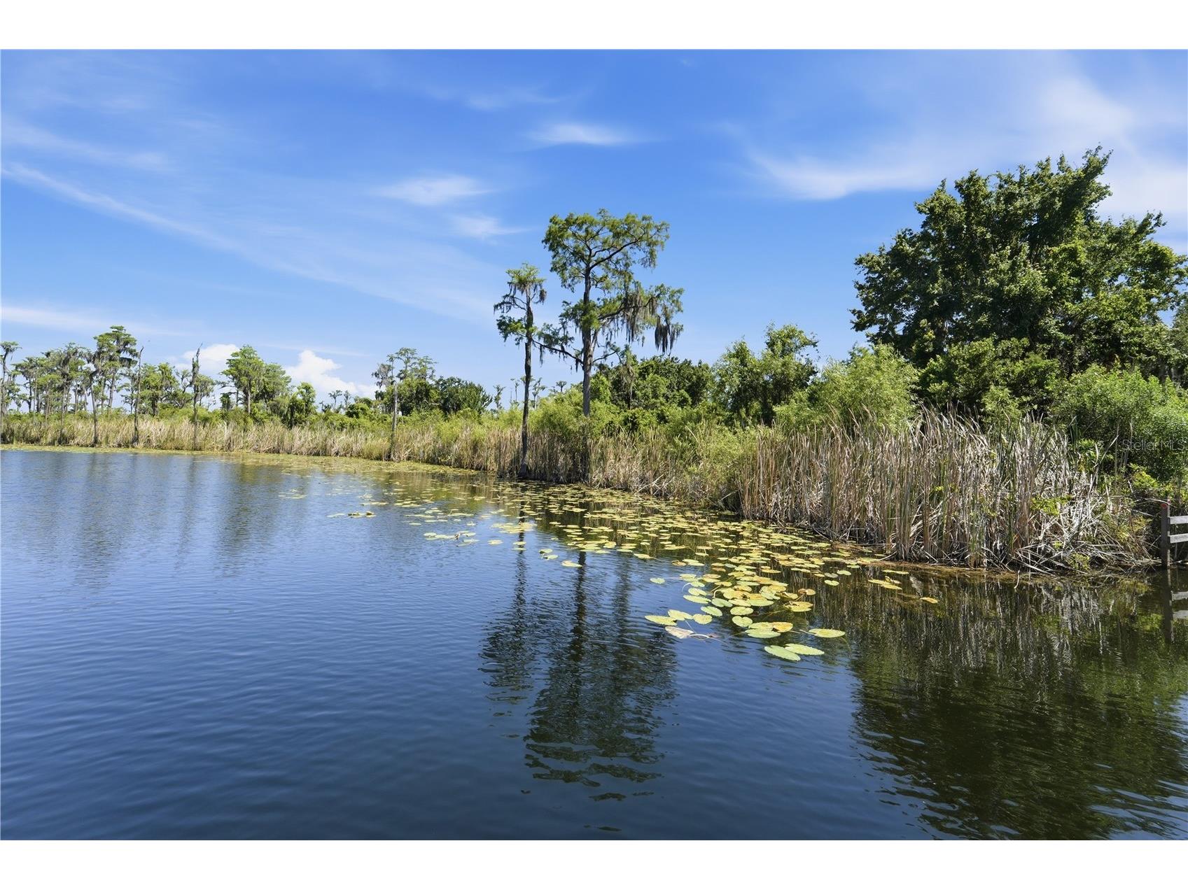 9222 Tibet Pointe Circle Windermere FL 34786 O6405278 image97