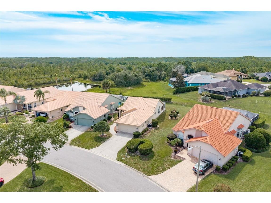 9223 Bonnie Cove Drive Weeki Wachee FL 34613 TB8409037 image25