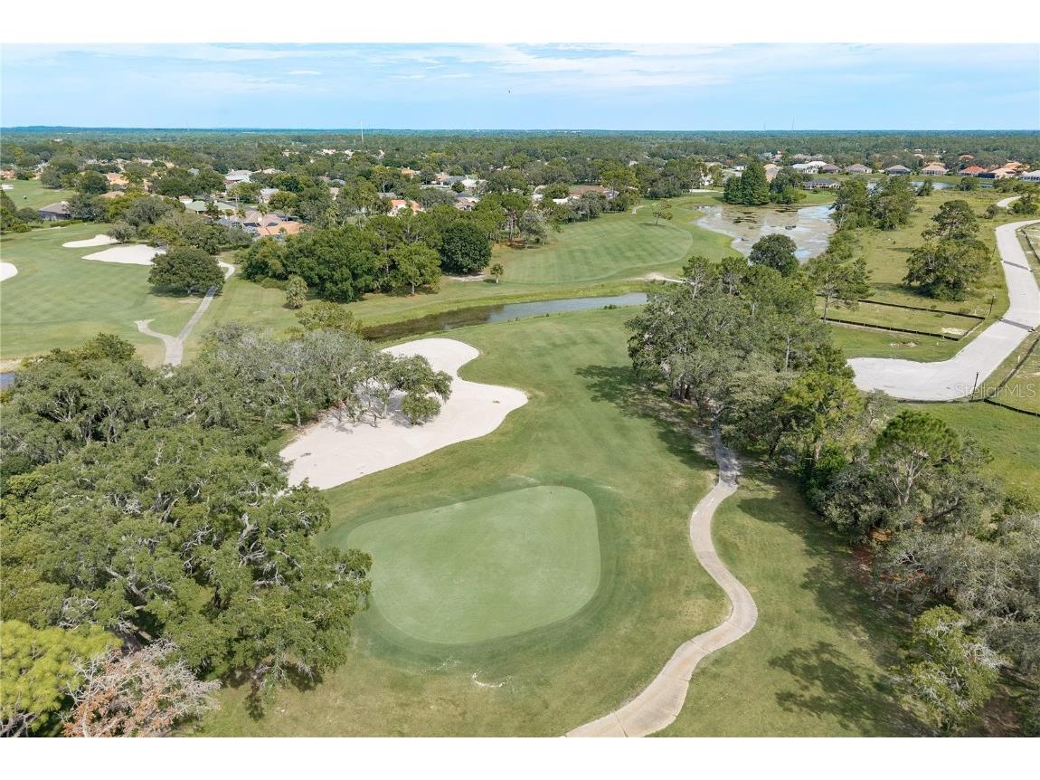 9223 Bonnie Cove Drive Weeki Wachee FL 34613 TB8409037 image33