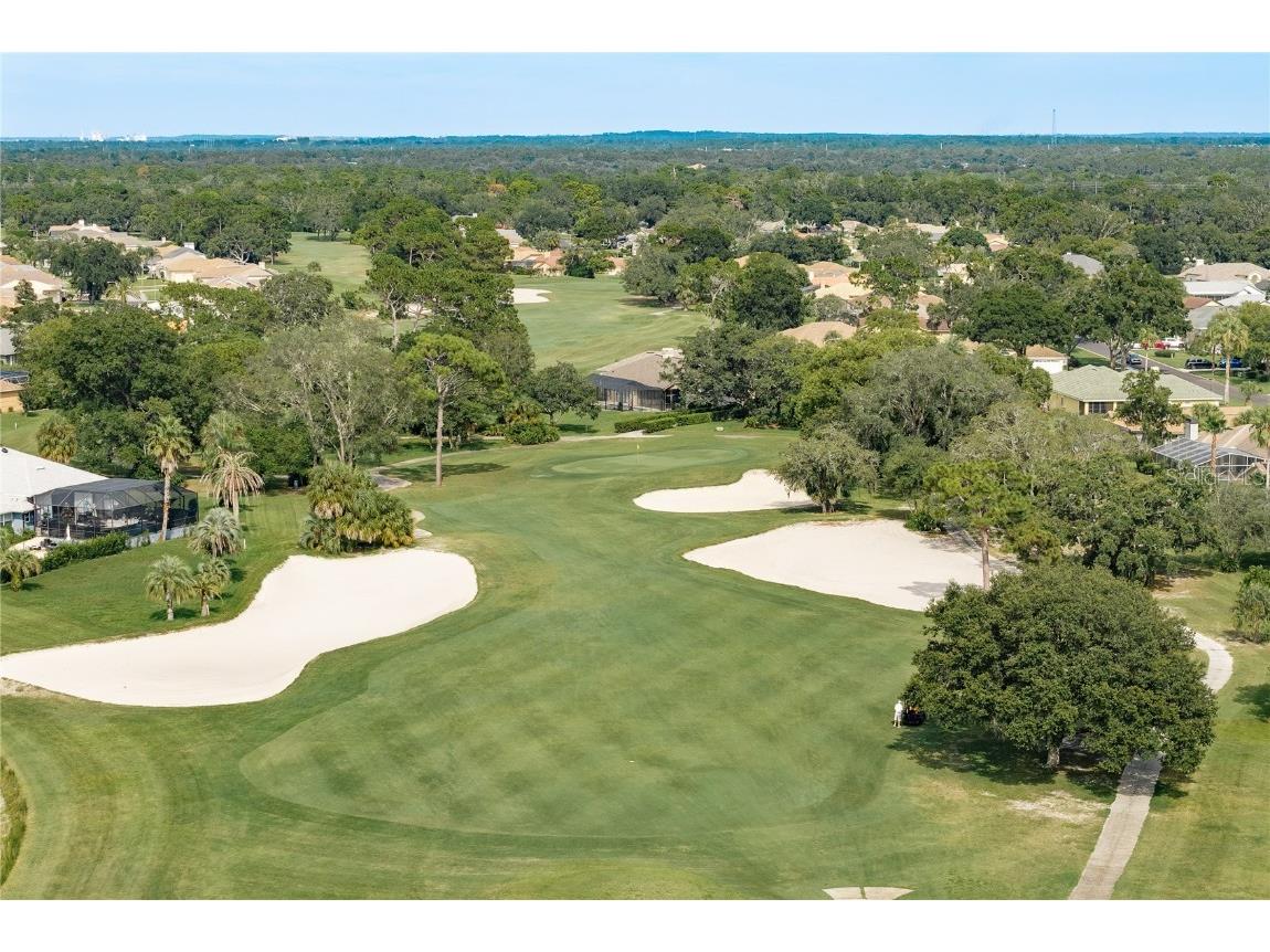 9223 Bonnie Cove Drive Weeki Wachee FL 34613 TB8409037 image37