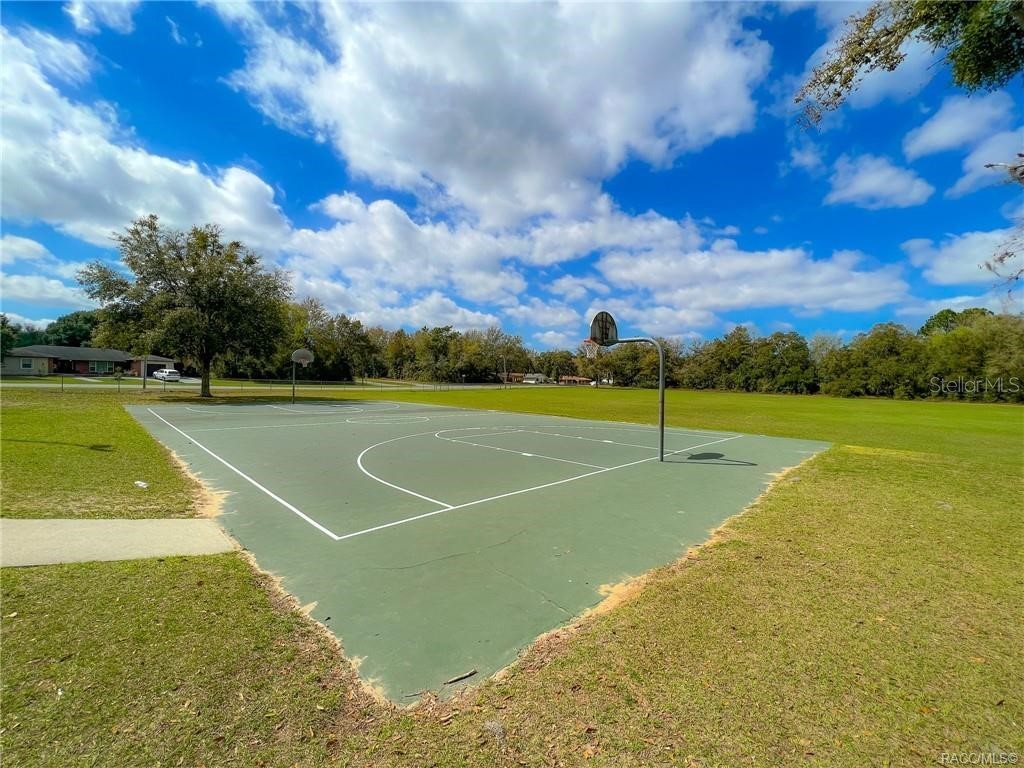 9223 N Bertin Drive Citrus Springs FL 34434 OM680793 image11