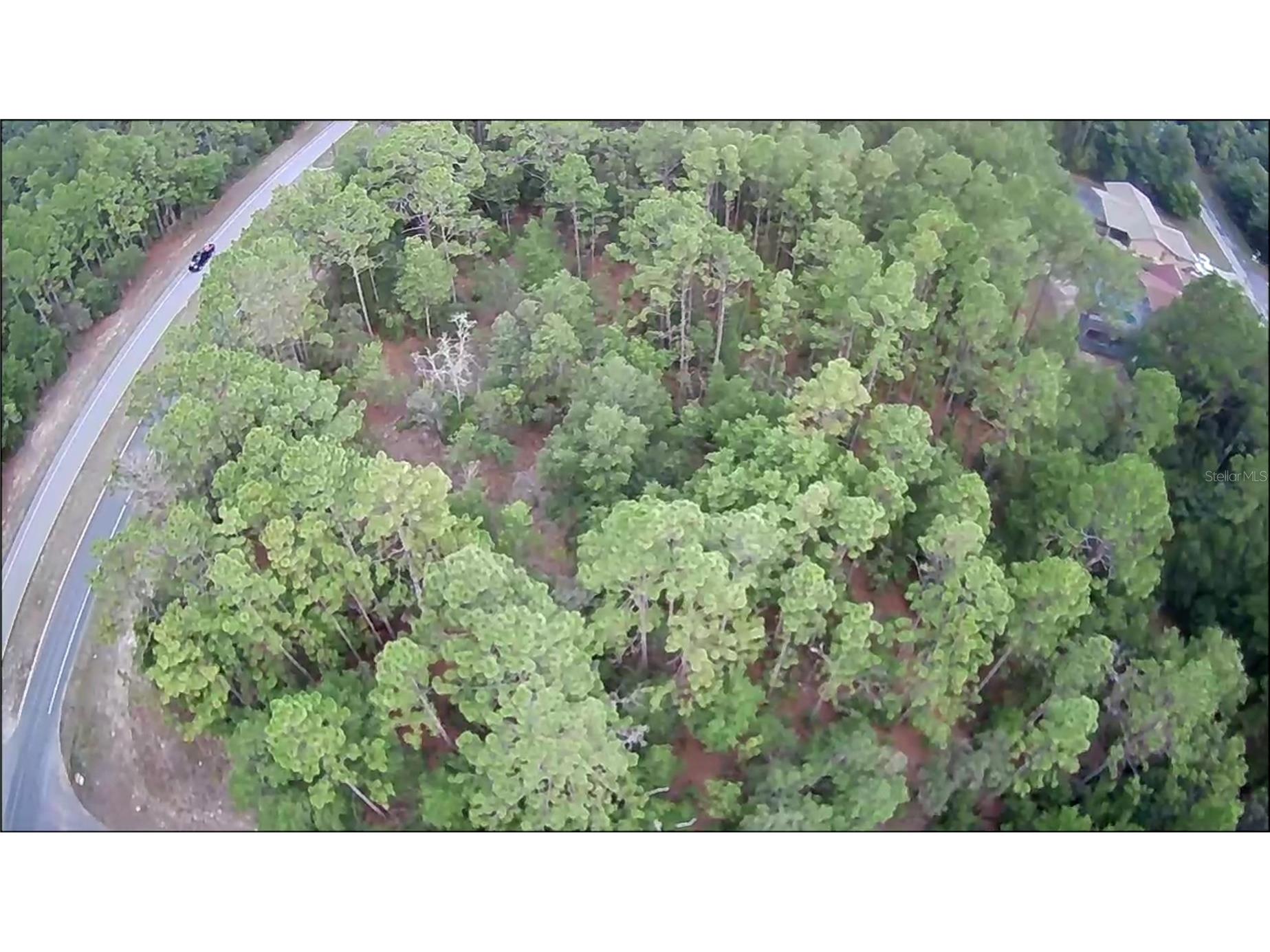 9223 N Bertin Drive Citrus Springs FL 34434 OM680793 image4