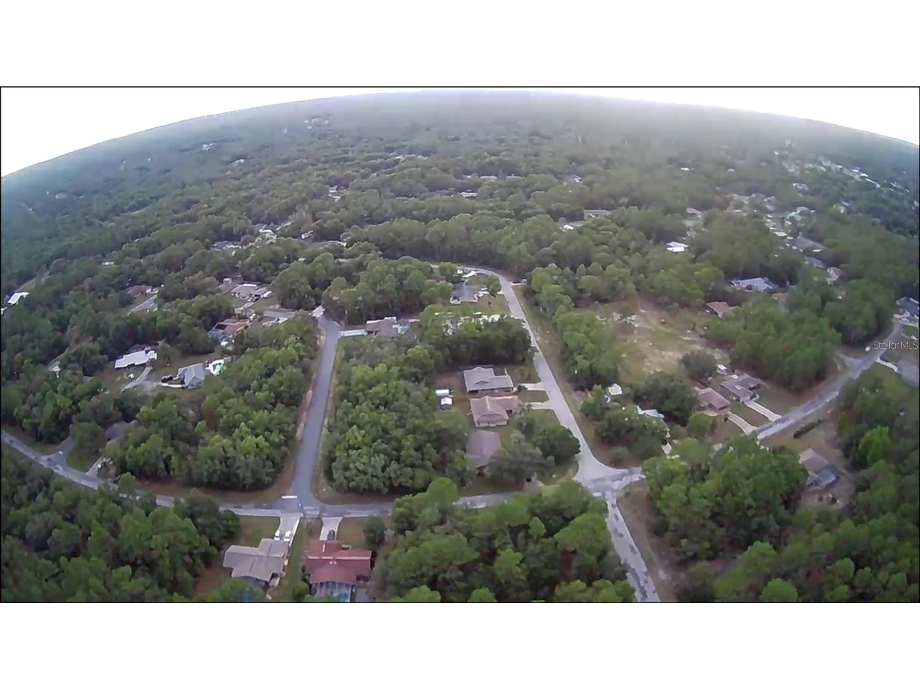 9223 N Bertin Drive Citrus Springs FL 34434 OM680793 image6