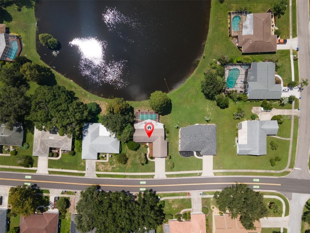 9223 Pebble Creek Drive Tampa FL 33647 W7867949 image1