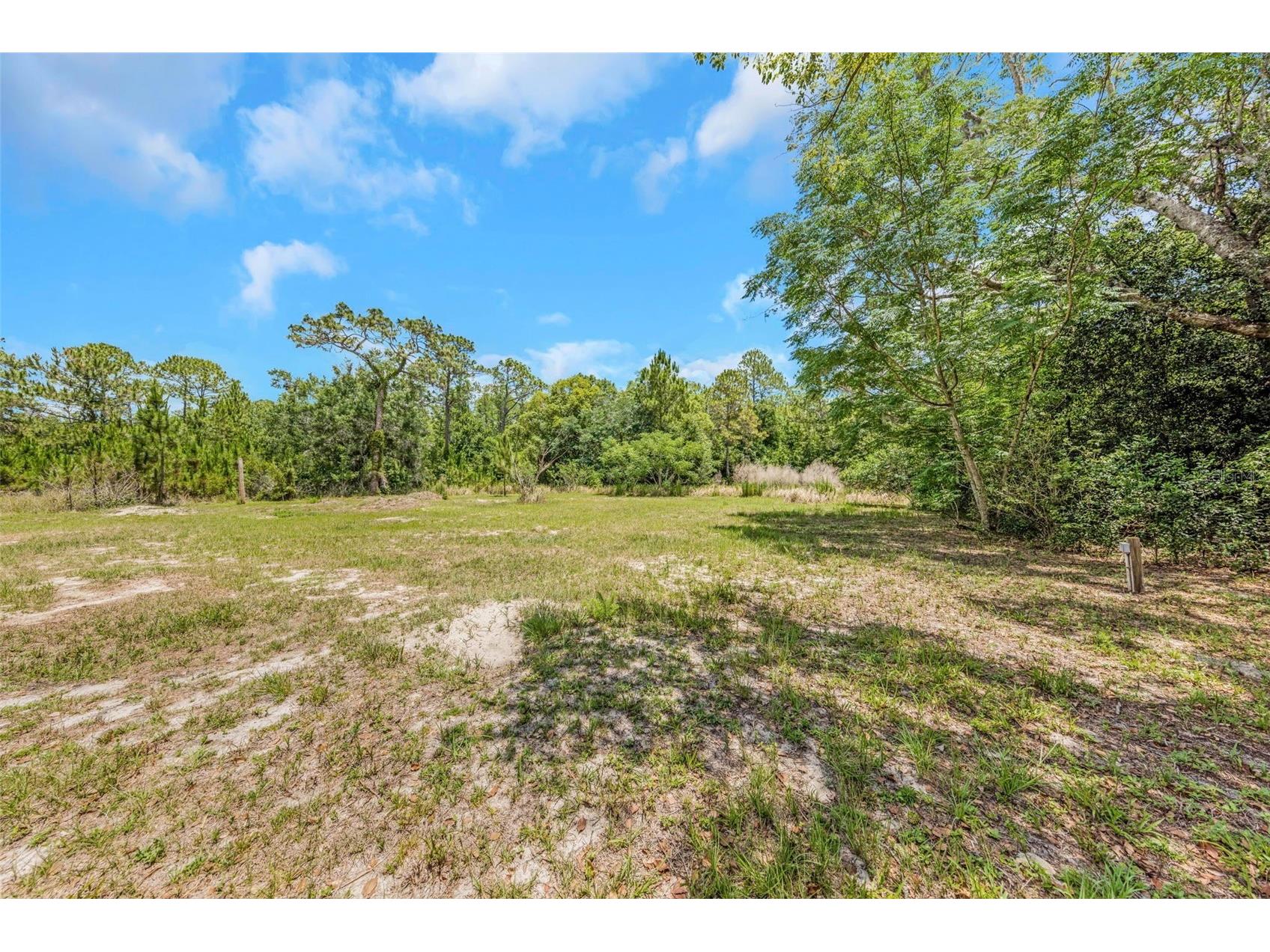 9224 Elza Street New Port Richey FL 34654 TB8503046 image5
