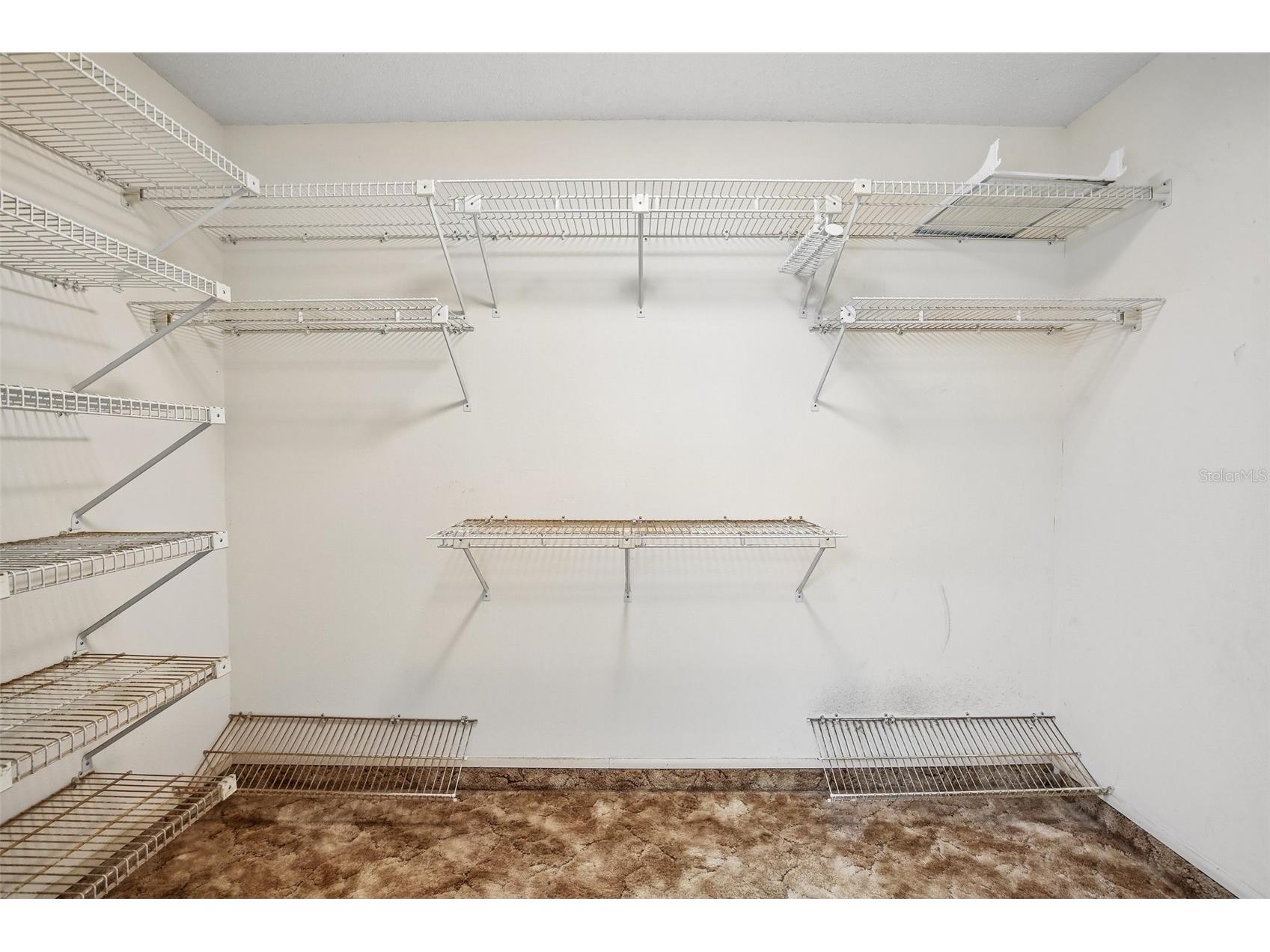 9224 Lakeview Drive New Port Richey FL 34654 TB8528778 image37