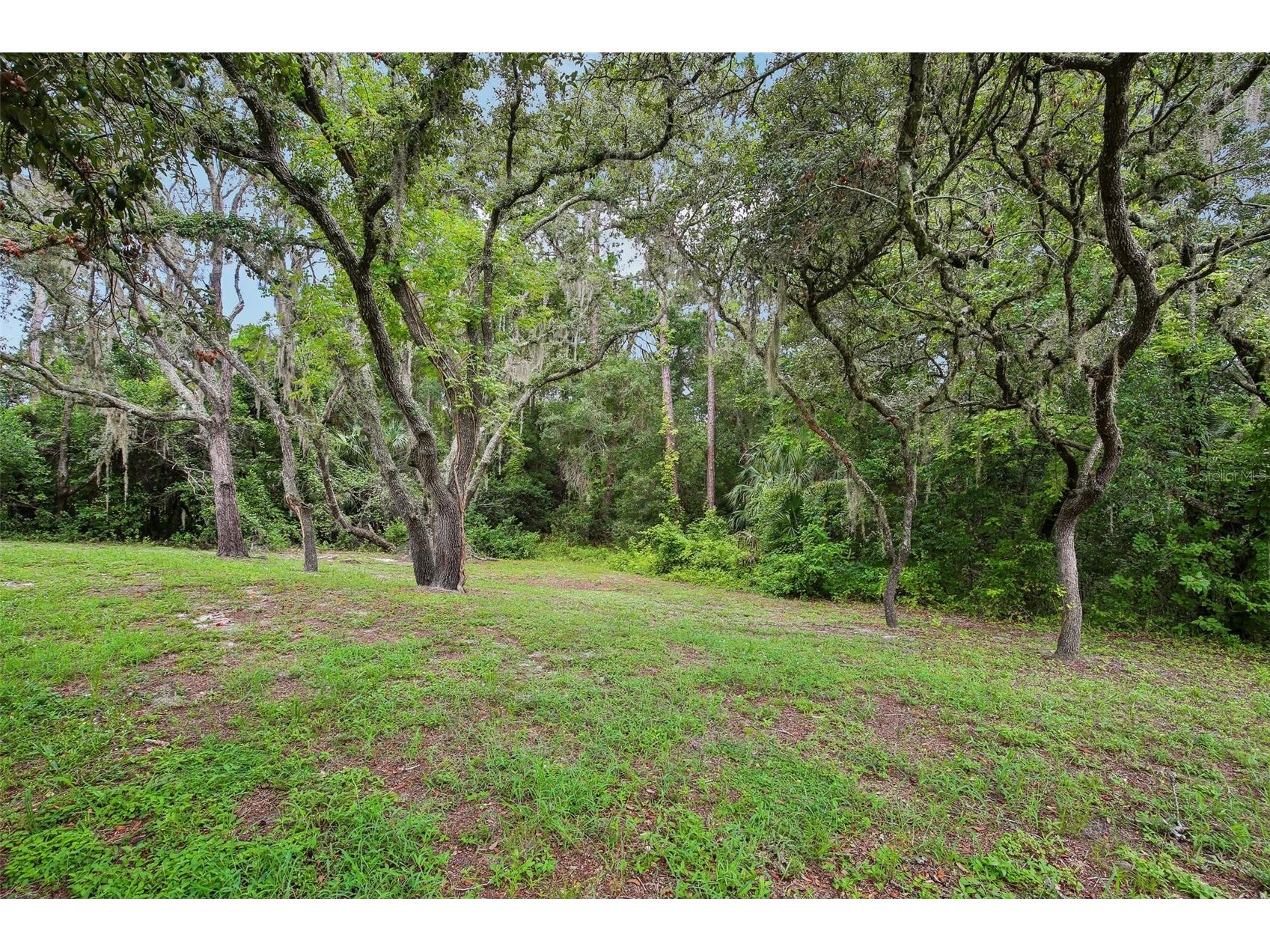 9224 Lakeview Drive New Port Richey FL 34654 TB8528778 image40