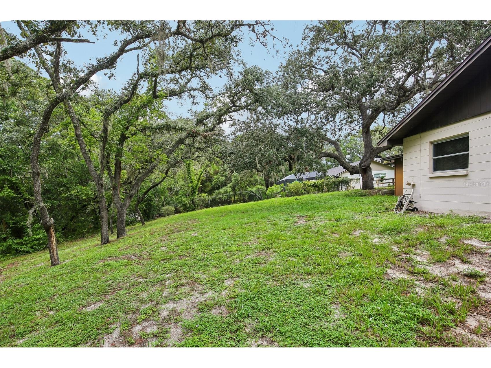 9224 Lakeview Drive New Port Richey FL 34654 TB8528778 image42