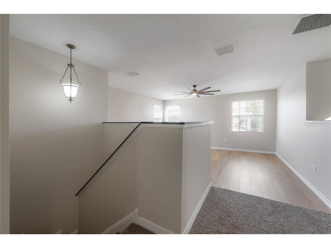 9224 Lost Mill Drive Land O Lakes FL 34638 TB8357101 image37