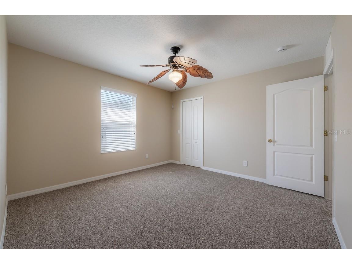 9224 Lost Mill Drive Land O Lakes FL 34638 TB8357101 image41