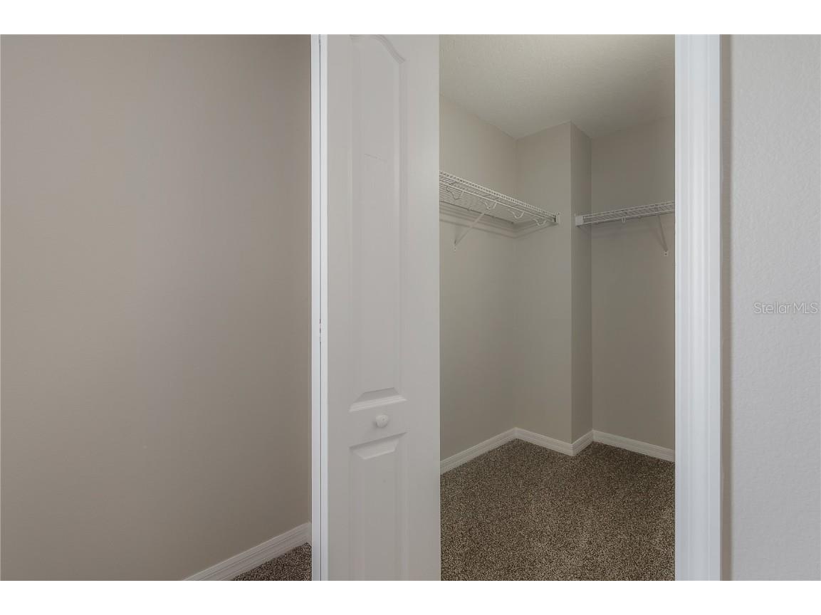 9224 Lost Mill Drive Land O Lakes FL 34638 TB8357101 image42