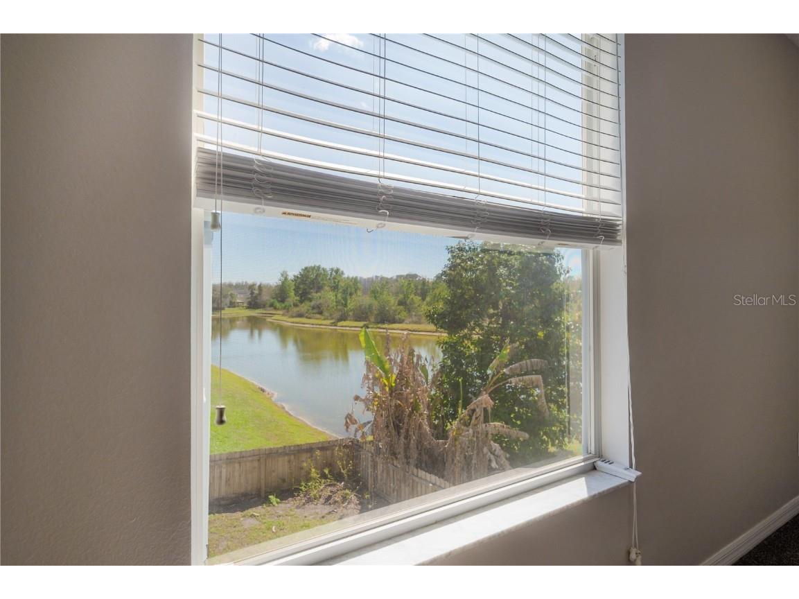 9224 Lost Mill Drive Land O Lakes FL 34638 TB8357101 image44