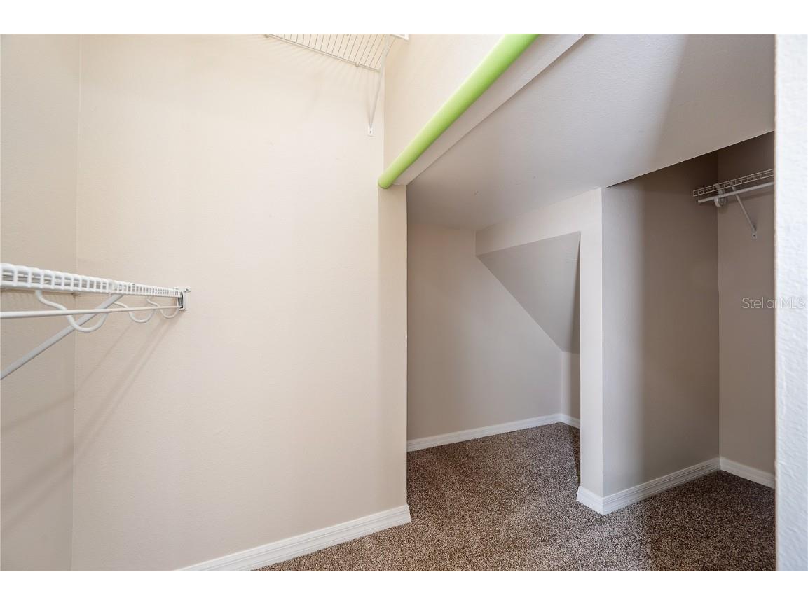 9224 Lost Mill Drive Land O Lakes FL 34638 TB8357101 image51