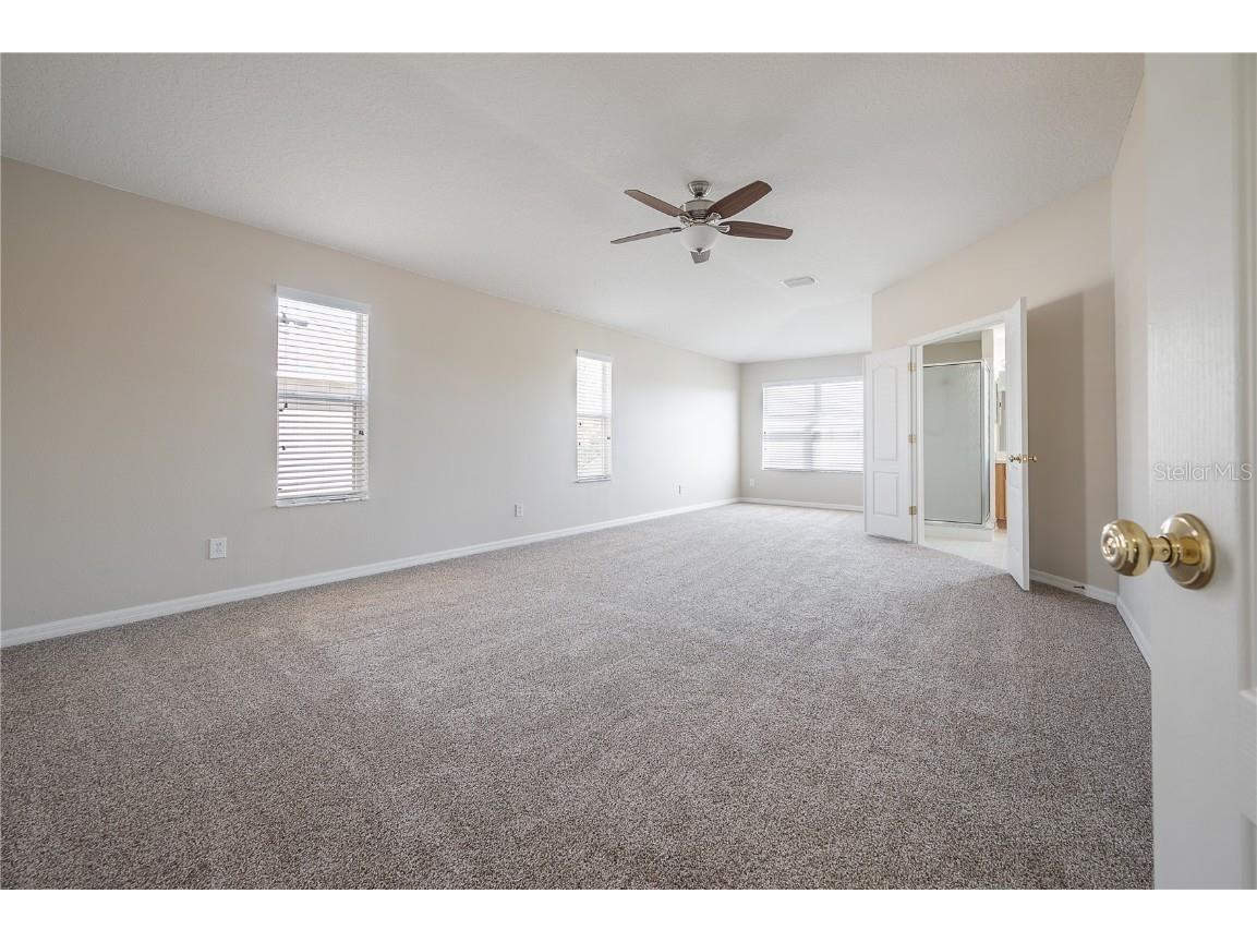 9224 Lost Mill Drive Land O Lakes FL 34638 TB8357101 image53