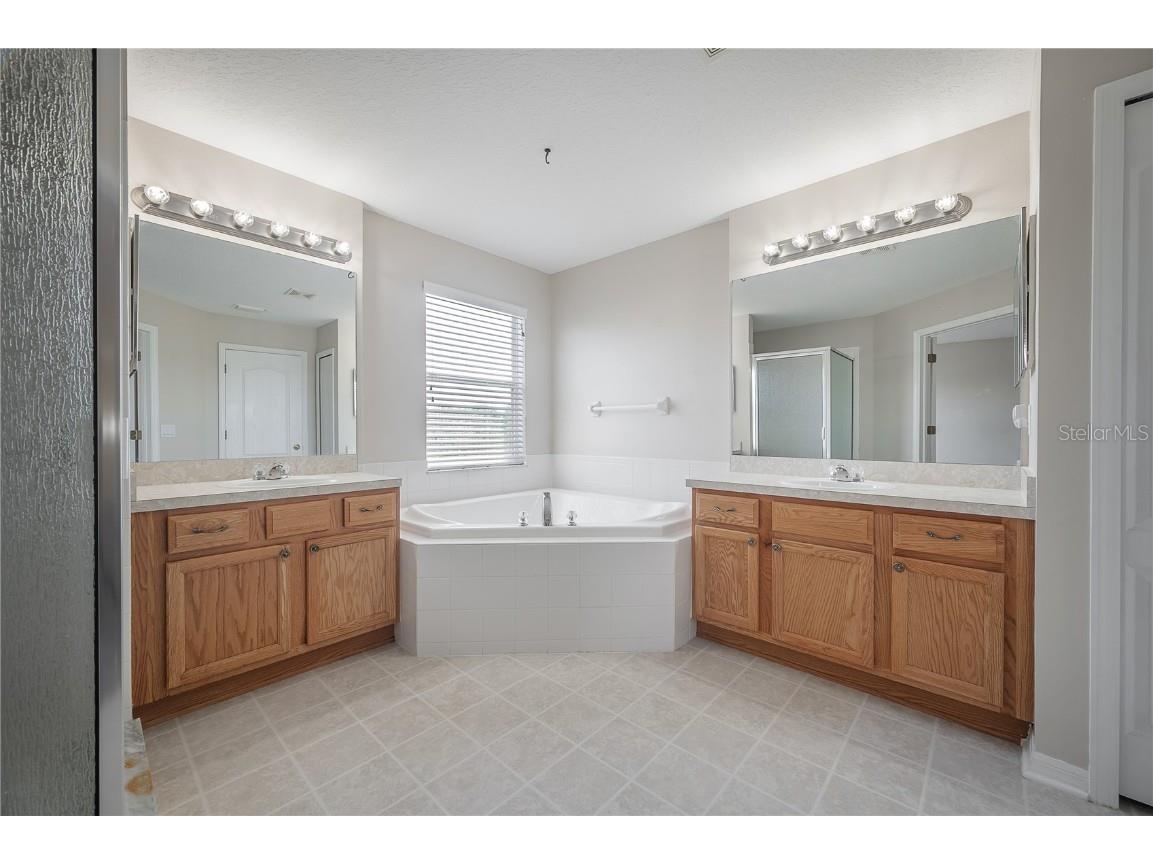 9224 Lost Mill Drive Land O Lakes FL 34638 TB8357101 image57