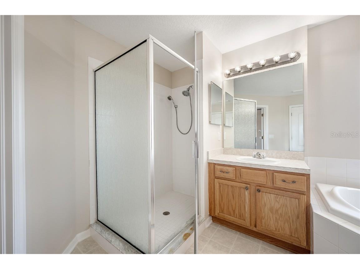 9224 Lost Mill Drive Land O Lakes FL 34638 TB8357101 image58