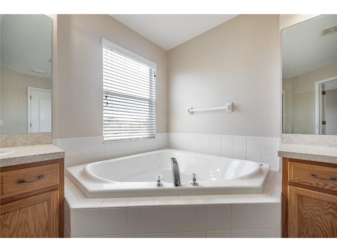 9224 Lost Mill Drive Land O Lakes FL 34638 TB8357101 image59