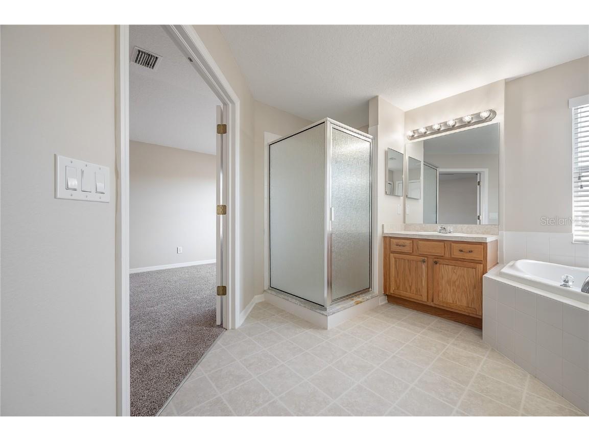 9224 Lost Mill Drive Land O Lakes FL 34638 TB8357101 image61