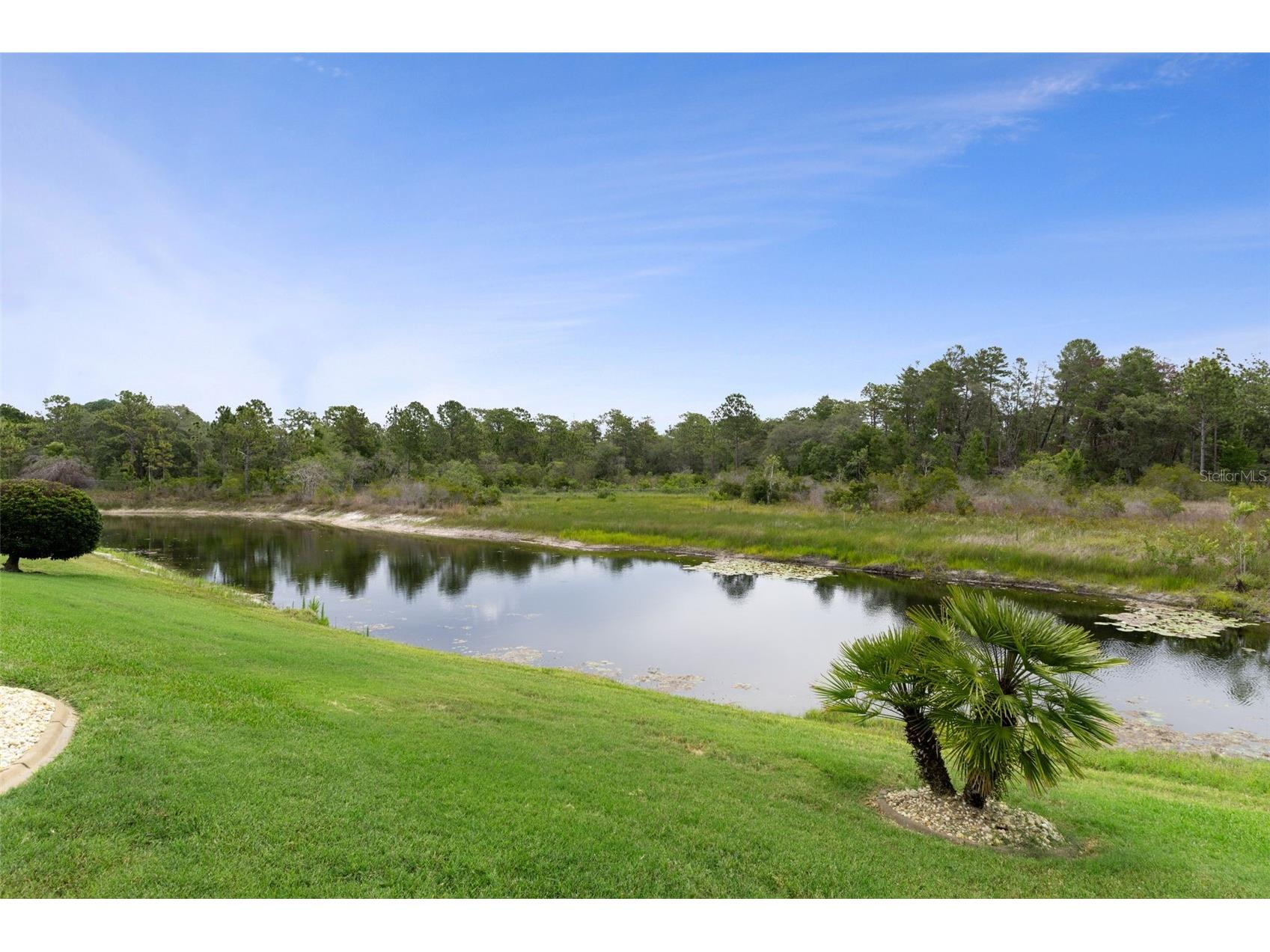 9224 Mississippi Run Weeki Wachee FL 34613 W7886446 image60