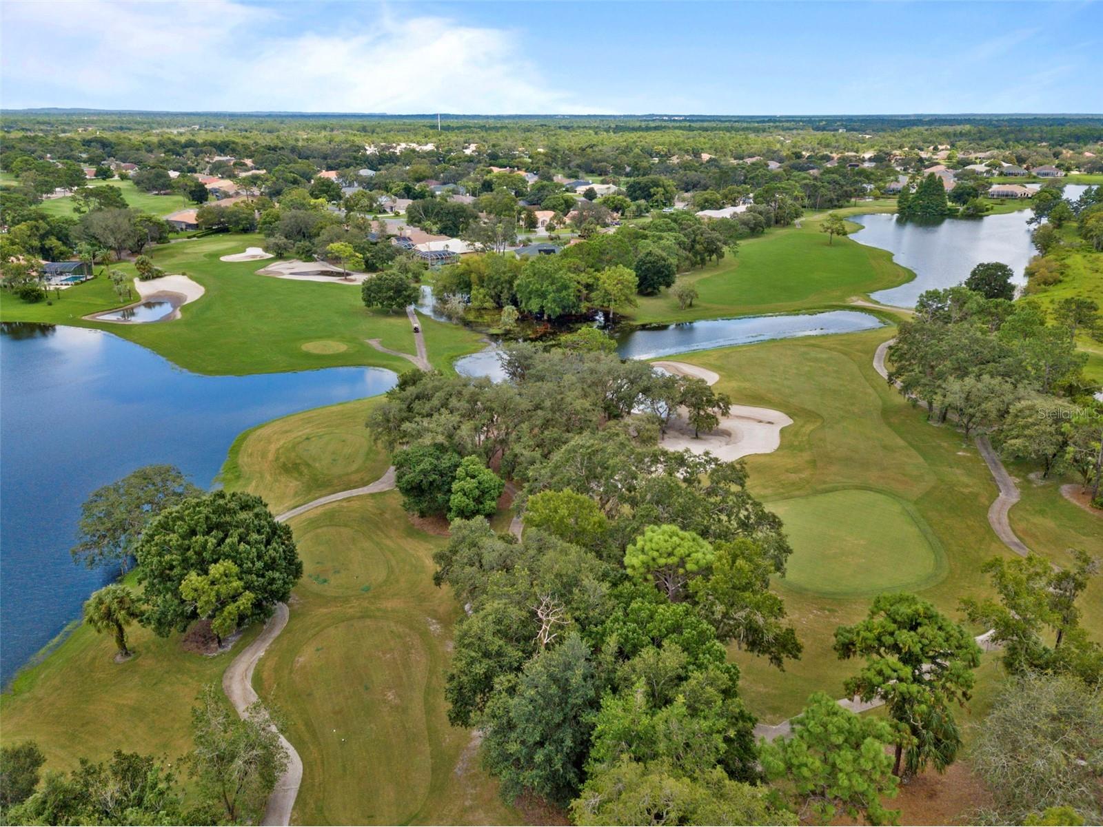 9224 Mississippi Run Weeki Wachee FL 34613 W7886446 image76