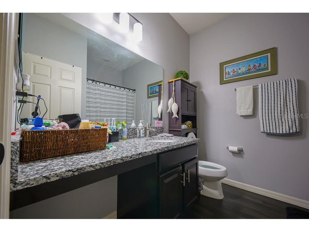9225 Freedom Hill Drive Seffner FL 33584 TB8517228 image10