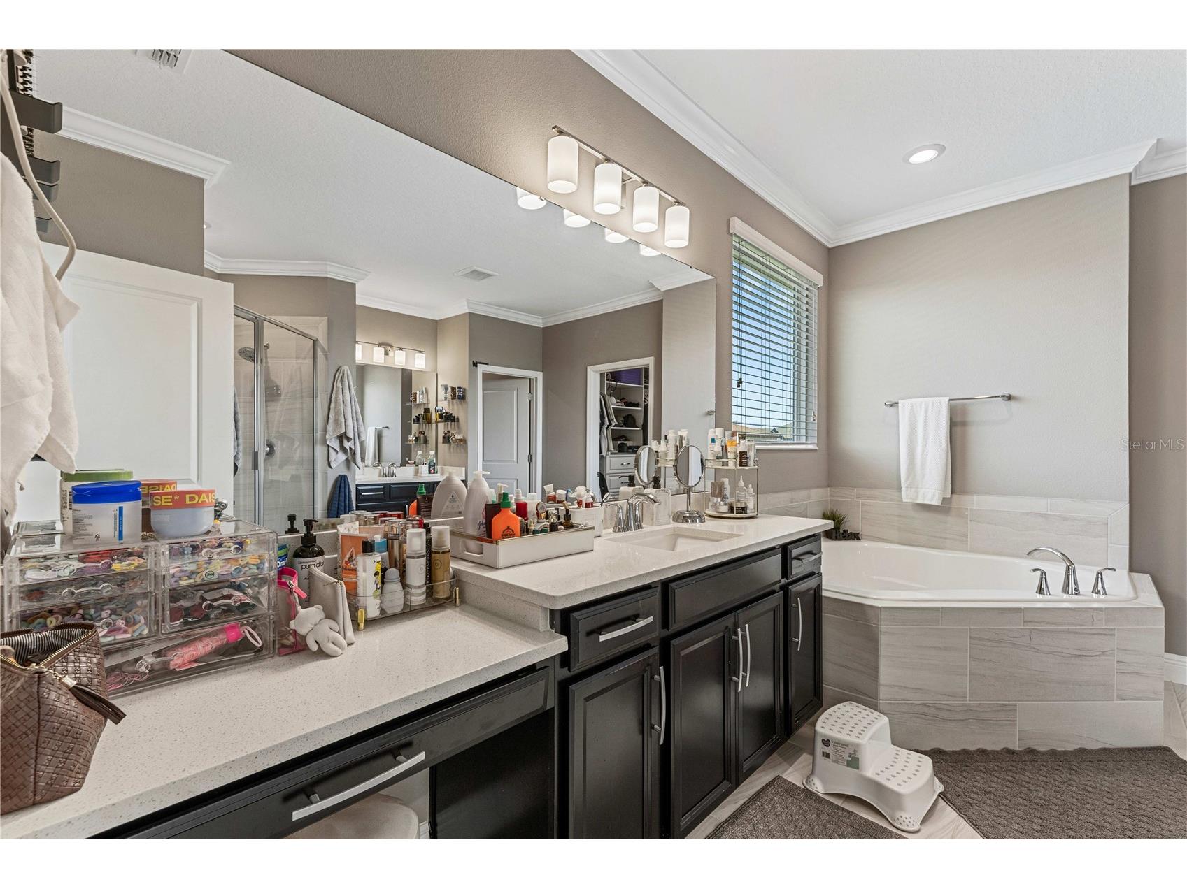 9225 Holliston Creek Place Winter Garden FL 34787 O6427589 image25