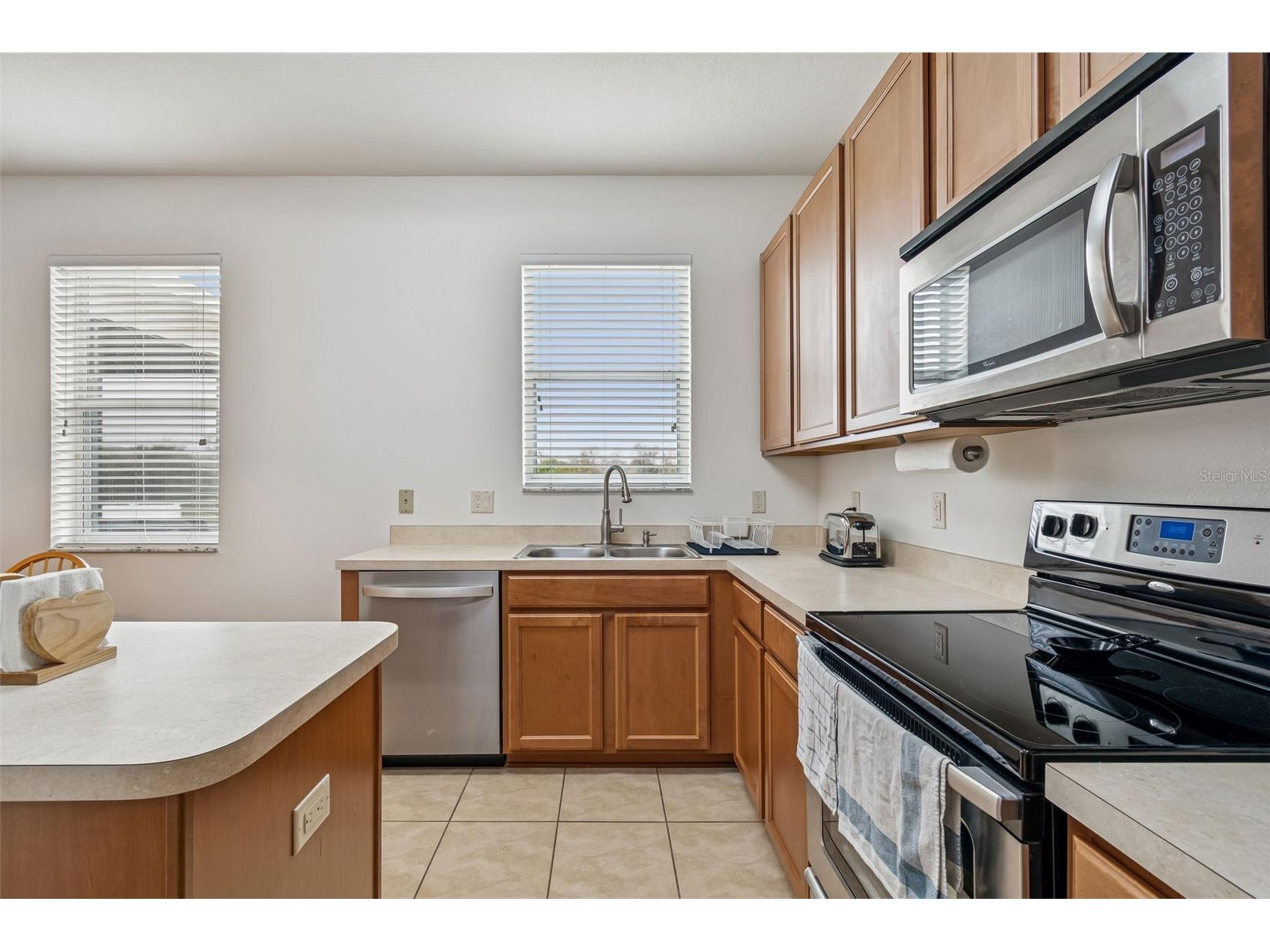 9225 Seeger Lane Land O Lakes FL 34638 TB8469829 image20