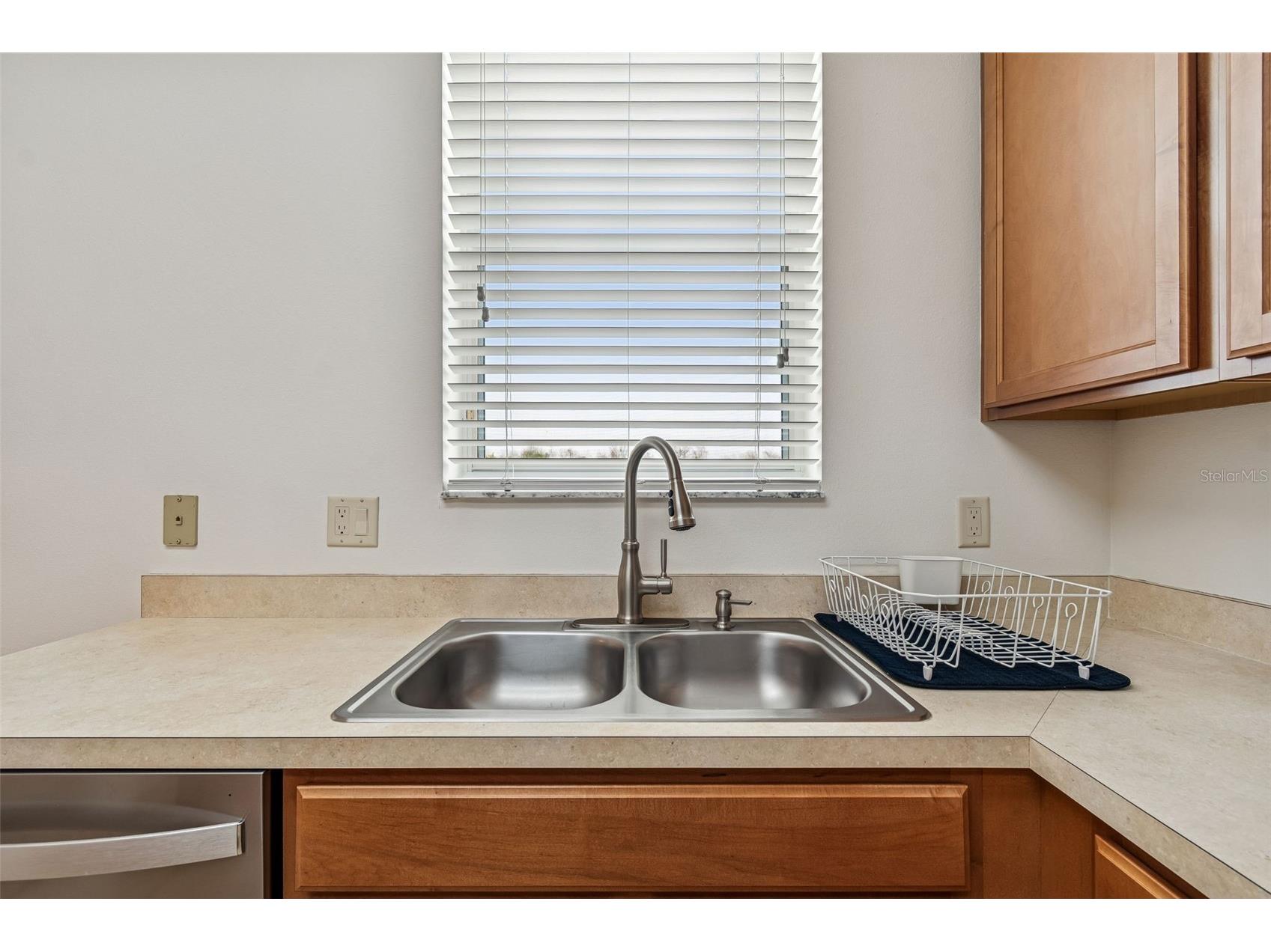 9225 Seeger Lane Land O Lakes FL 34638 TB8469829 image21