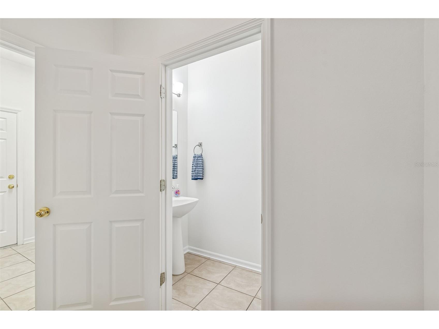 9225 Seeger Lane Land O Lakes FL 34638 TB8469829 image27