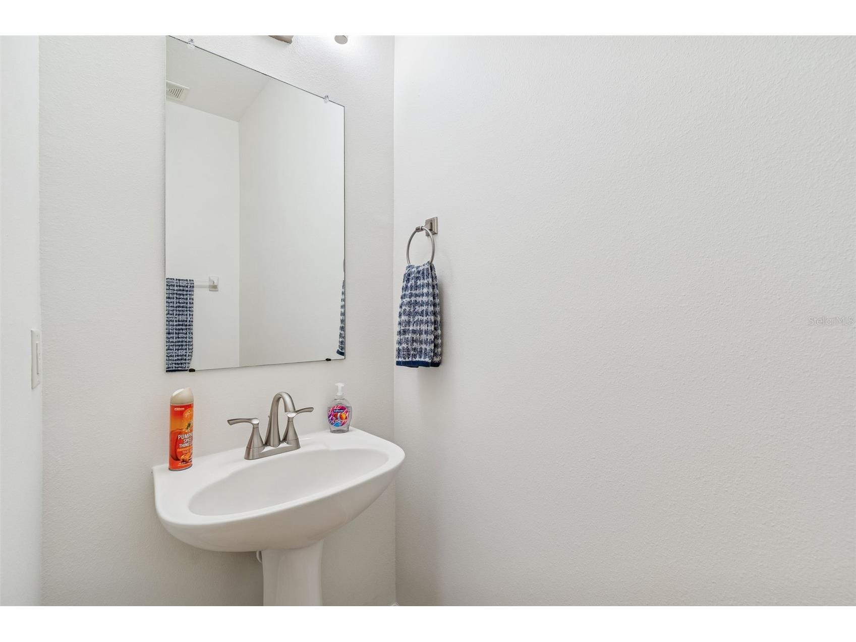 9225 Seeger Lane Land O Lakes FL 34638 TB8469829 image29