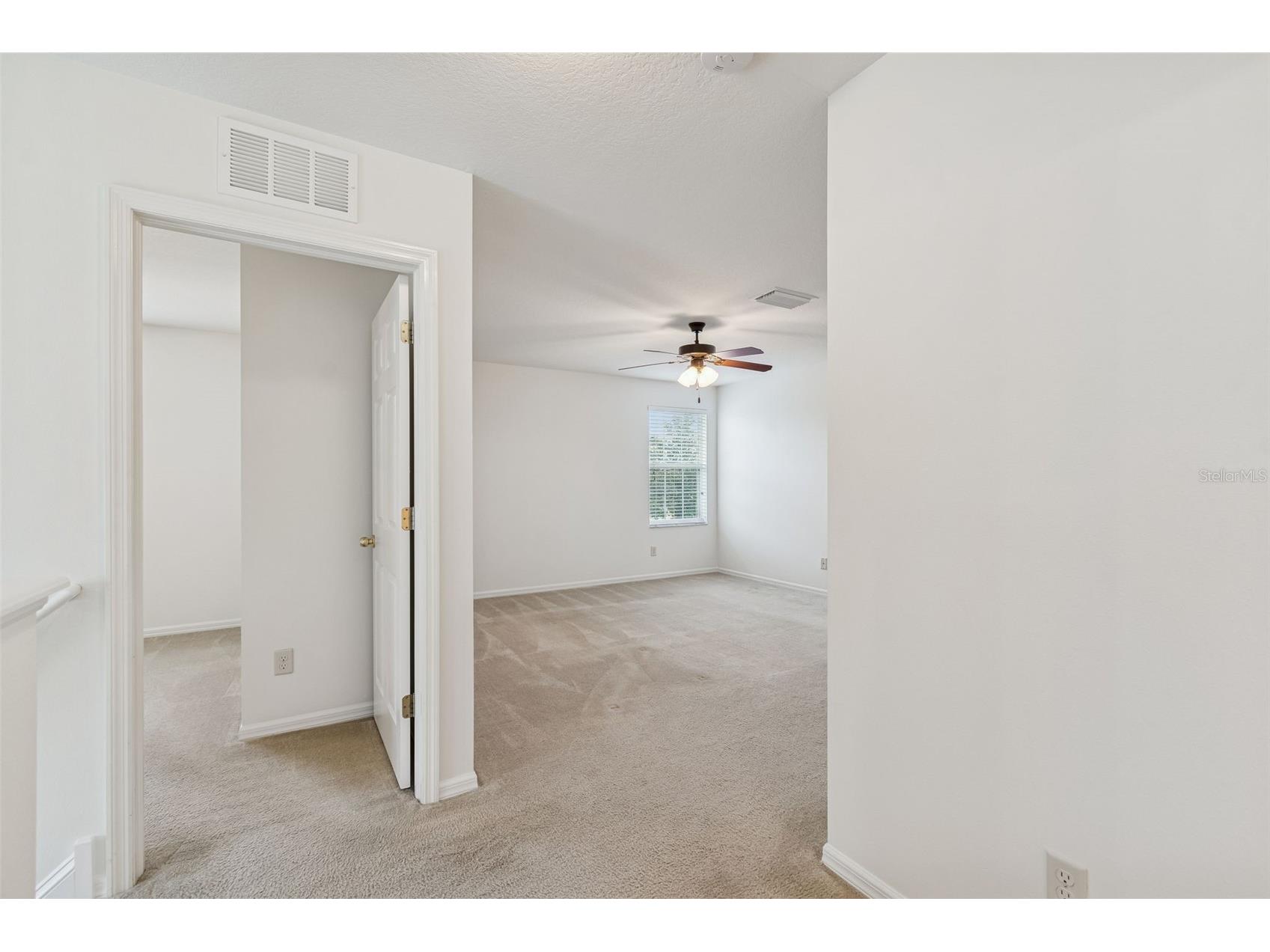 9225 Seeger Lane Land O Lakes FL 34638 TB8469829 image32