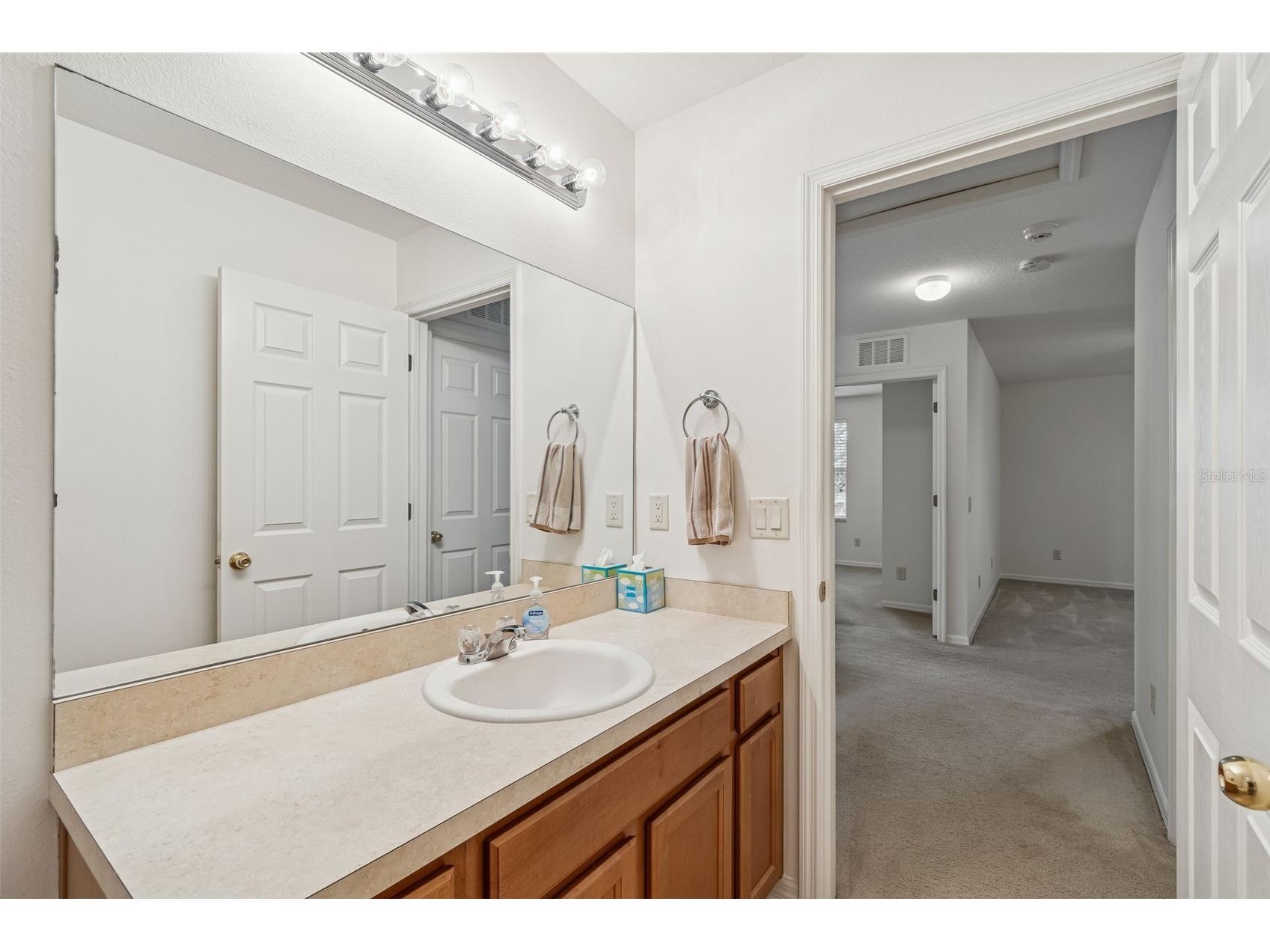 9225 Seeger Lane Land O Lakes FL 34638 TB8469829 image36