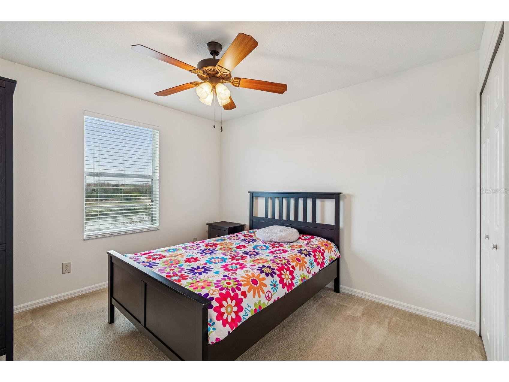 9225 Seeger Lane Land O Lakes FL 34638 TB8469829 image37