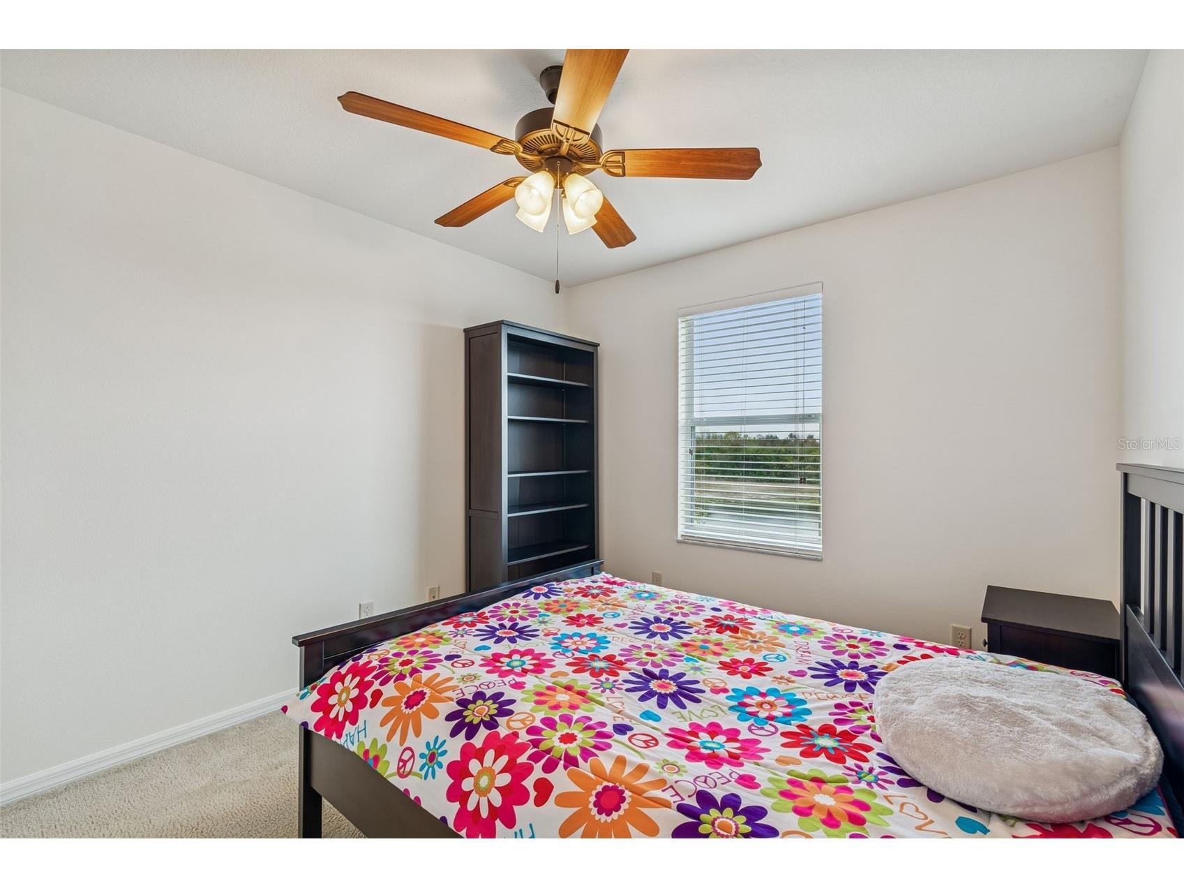 9225 Seeger Lane Land O Lakes FL 34638 TB8469829 image38