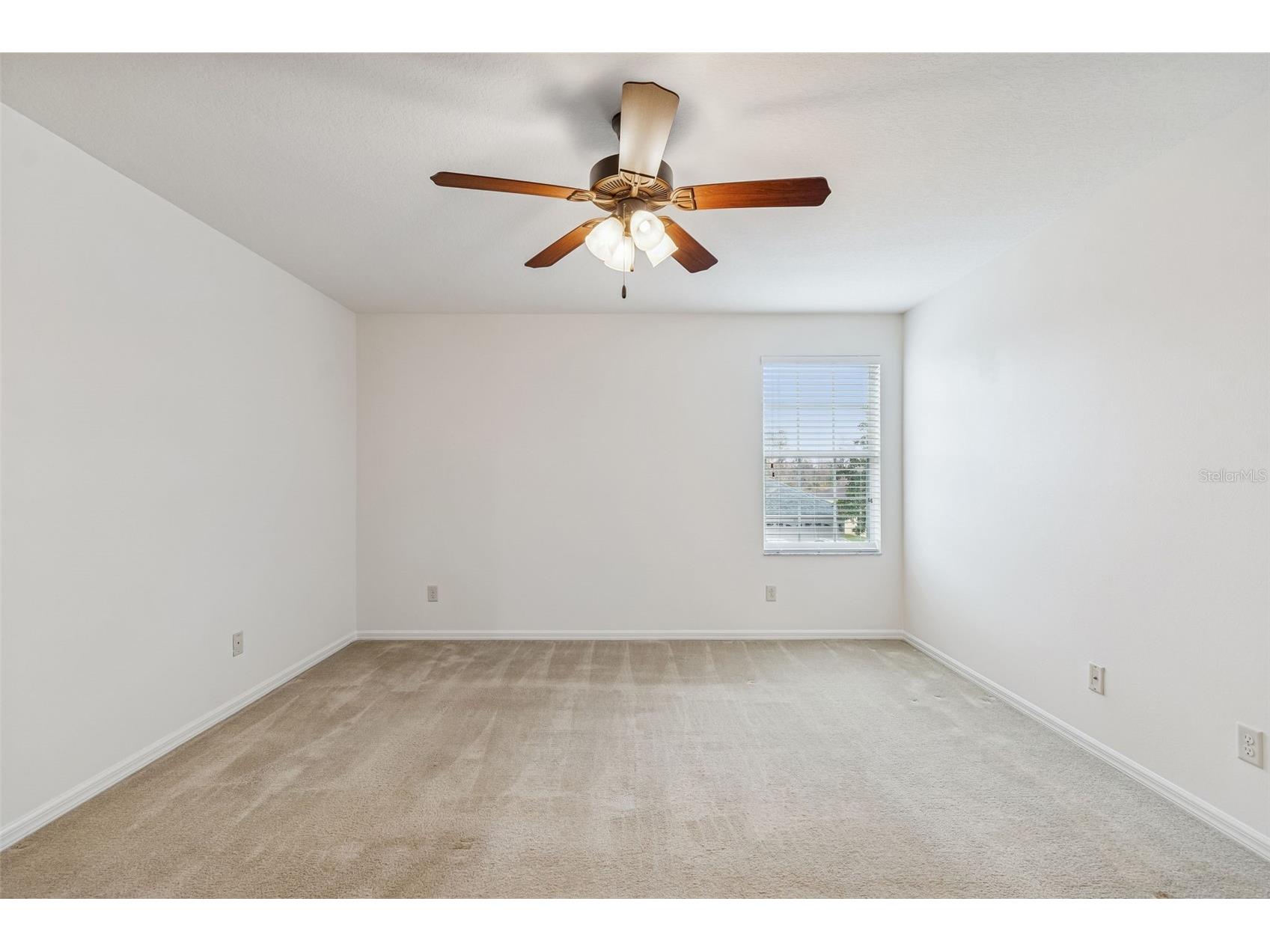 9225 Seeger Lane Land O Lakes FL 34638 TB8469829 image49