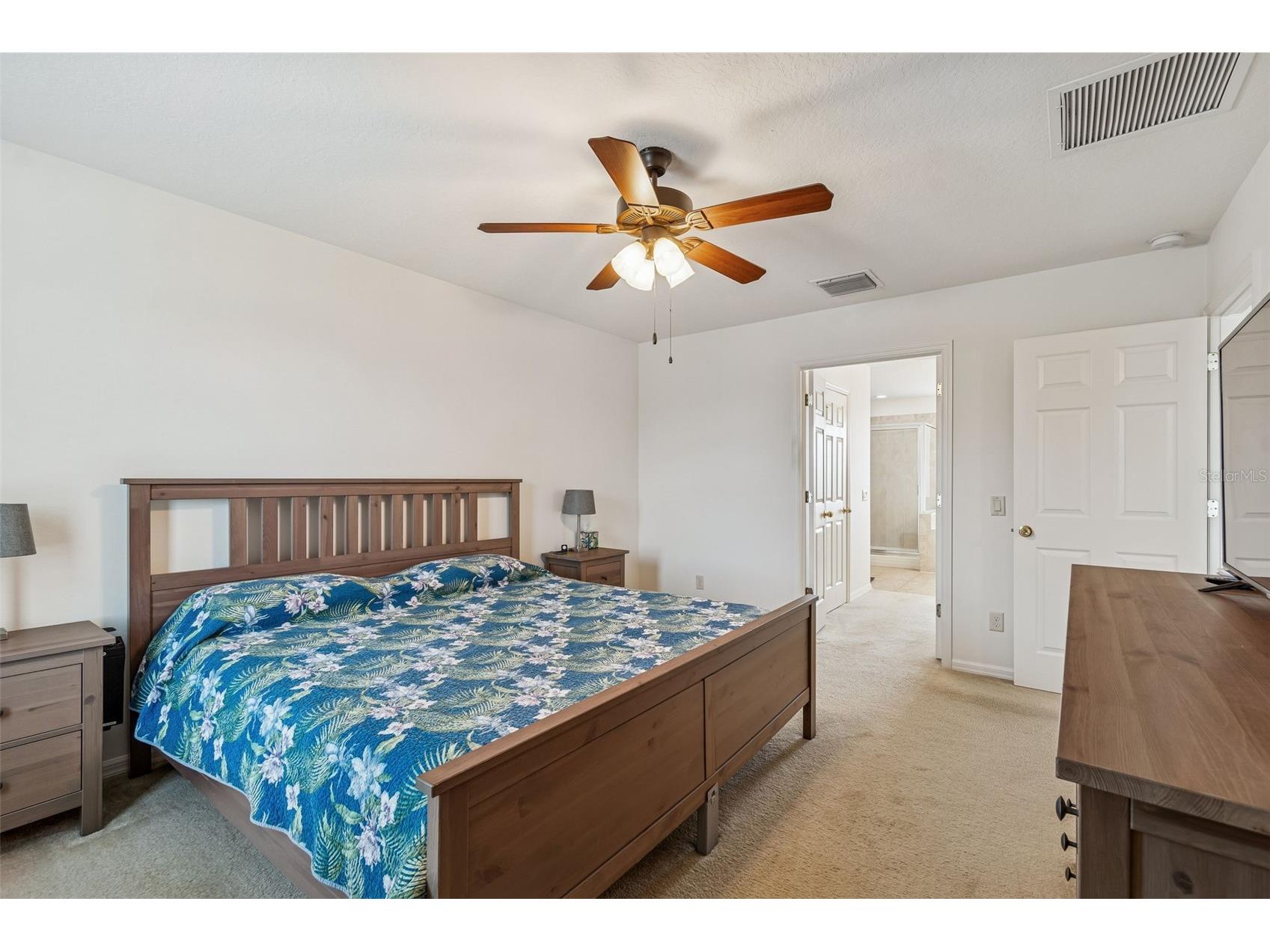 9225 Seeger Lane Land O Lakes FL 34638 TB8469829 image53