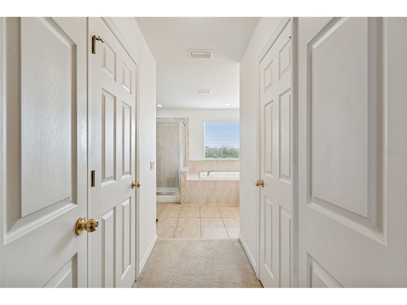 9225 Seeger Lane Land O Lakes FL 34638 TB8469829 image55