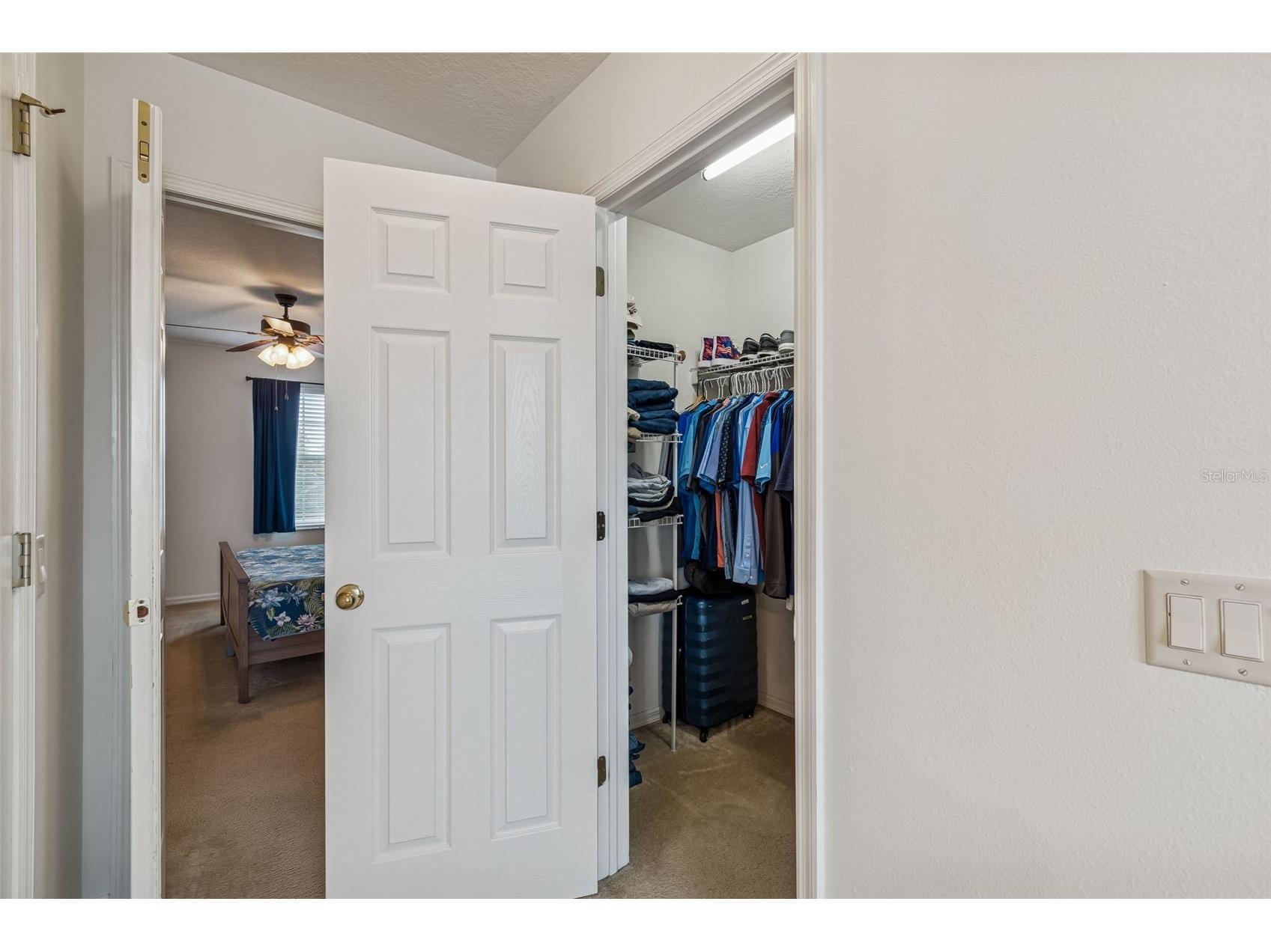 9225 Seeger Lane Land O Lakes FL 34638 TB8469829 image56