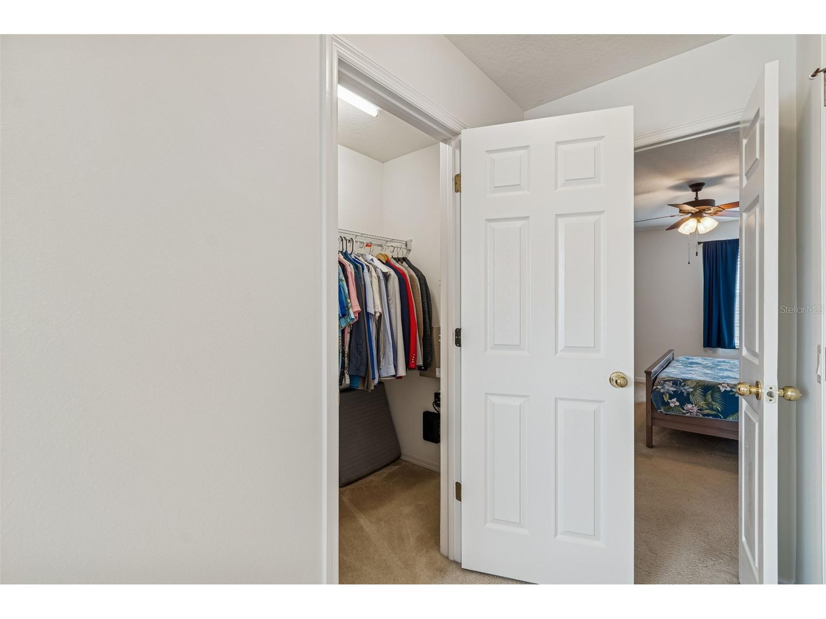 9225 Seeger Lane Land O Lakes FL 34638 TB8469829 image58